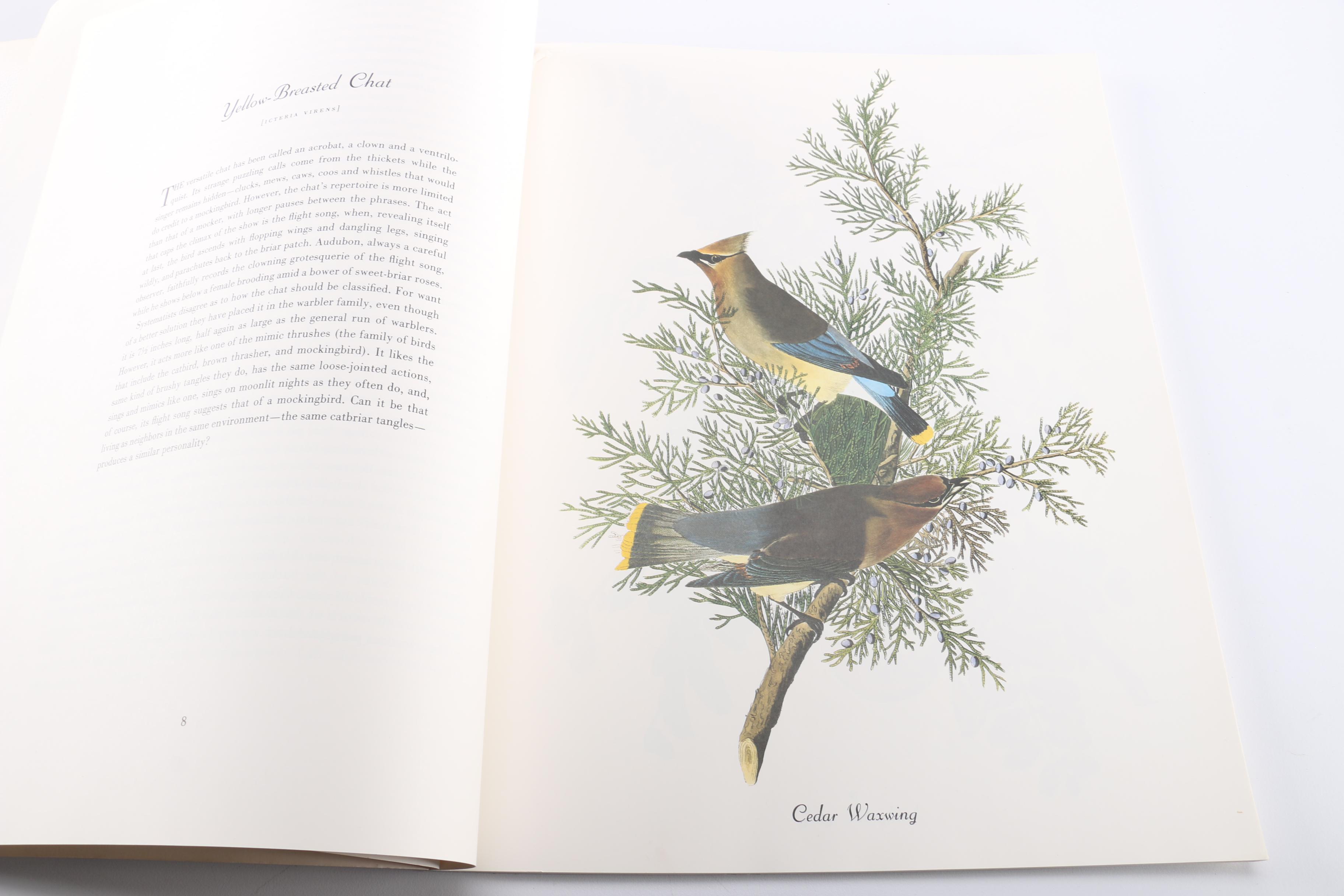 "Audubon's Birds of America" Book and Prints