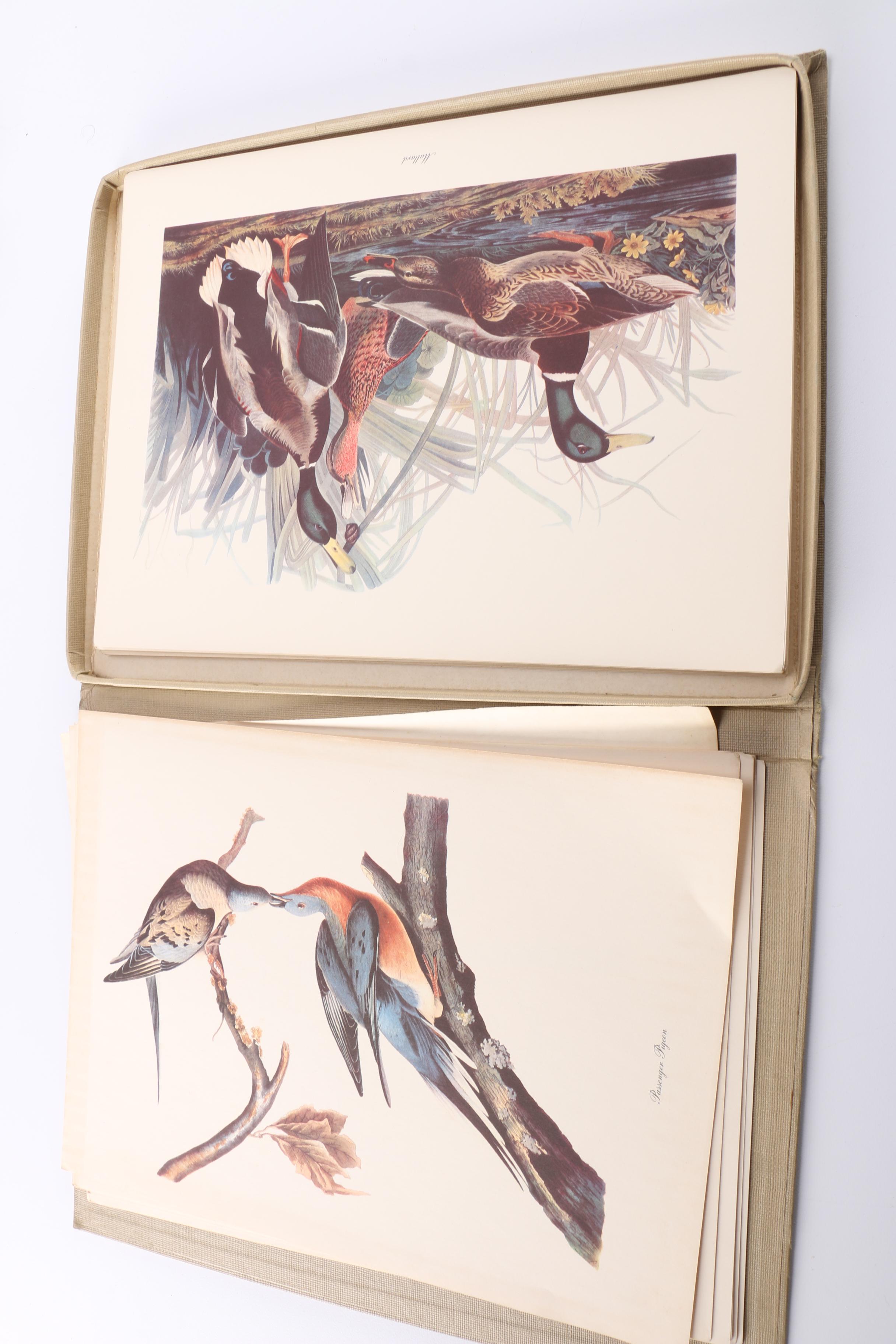 "Audubon's Birds of America" Book and Prints