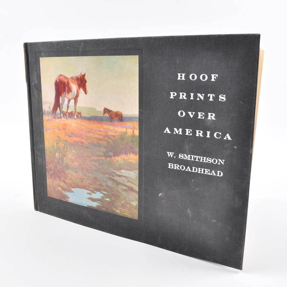 Equestrian Themed Hardcover Books