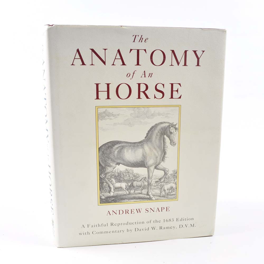 Equestrian Themed Hardcover Books