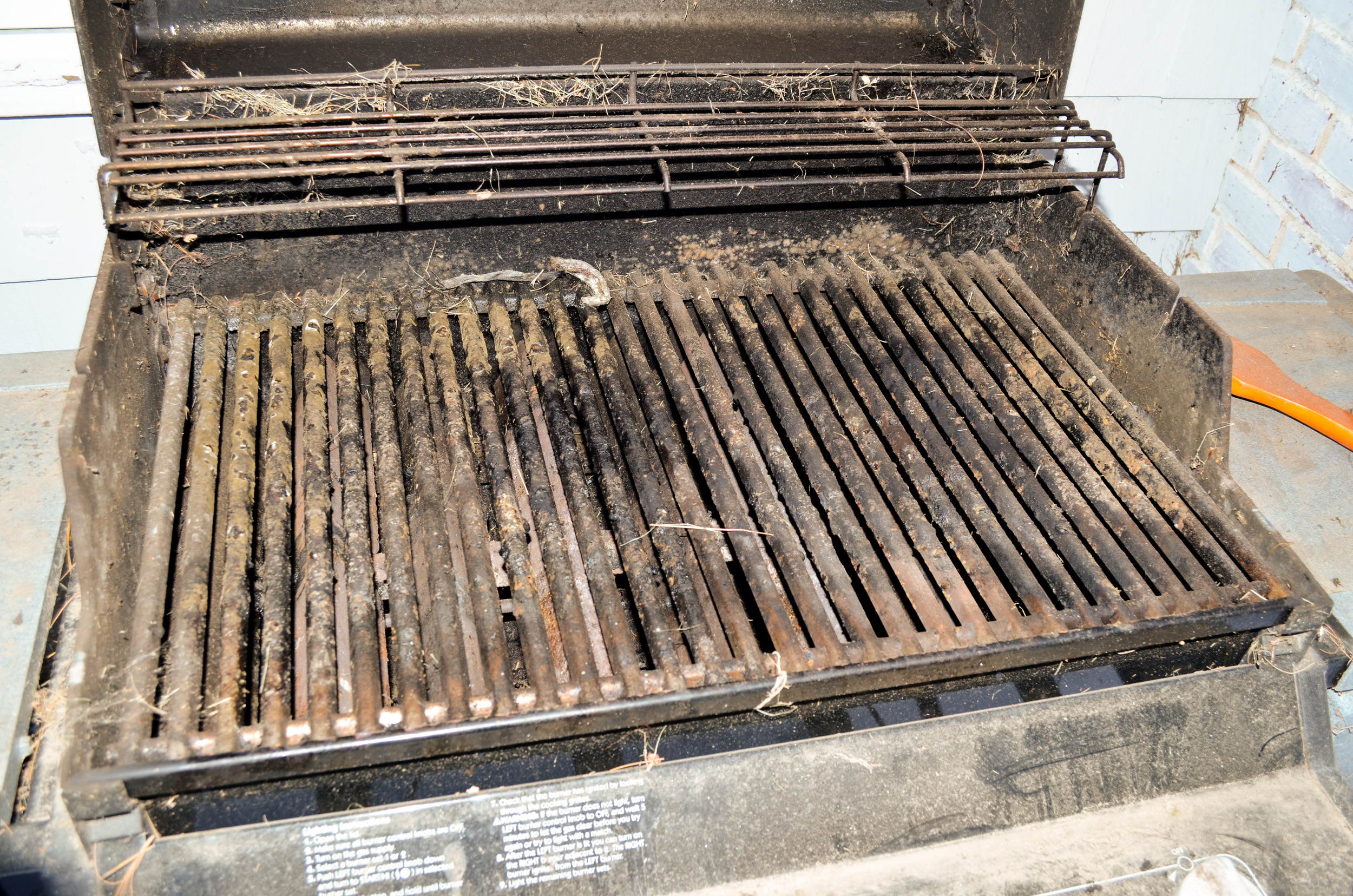 Weber Summit Silver Grill