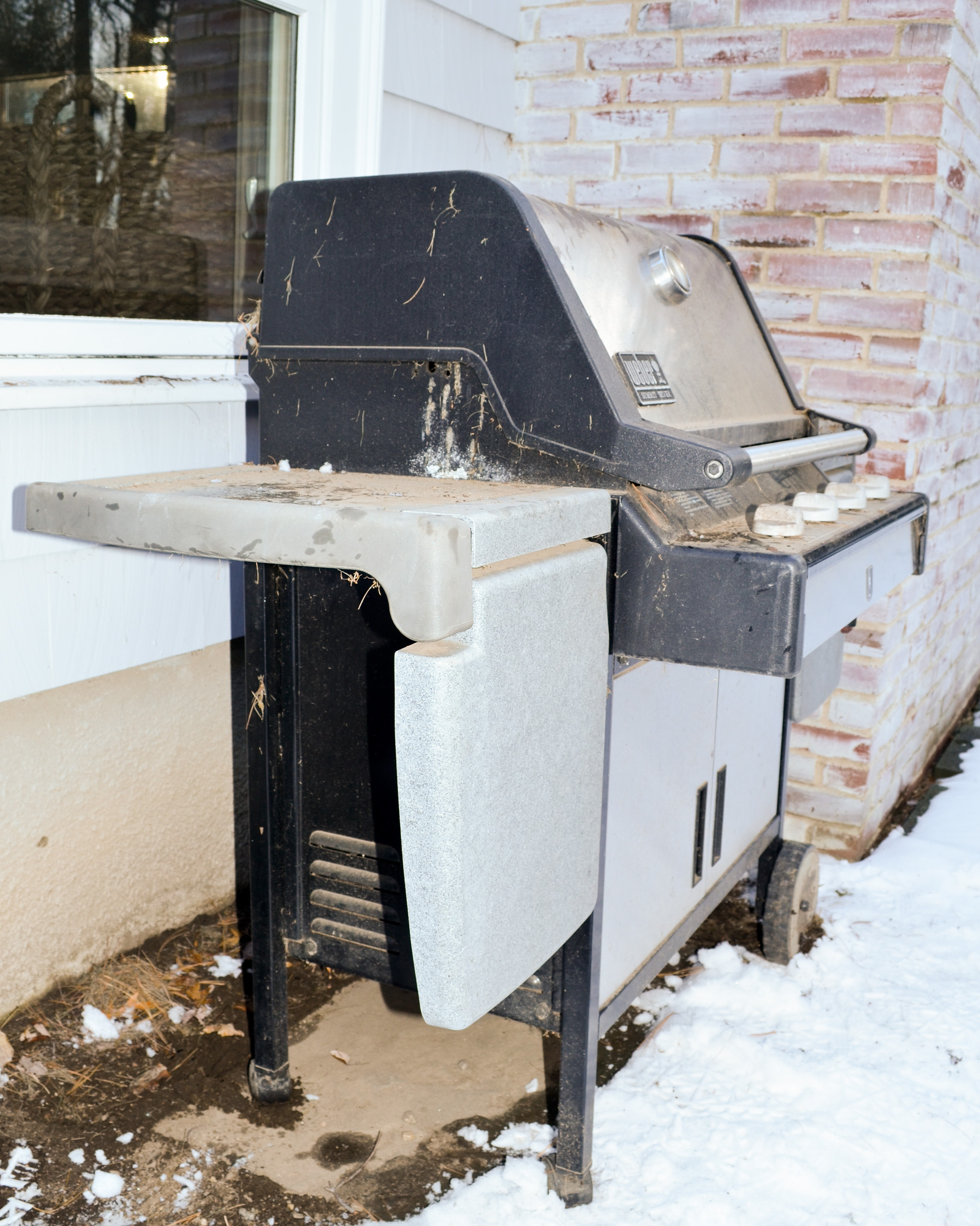 Weber Summit Silver Grill