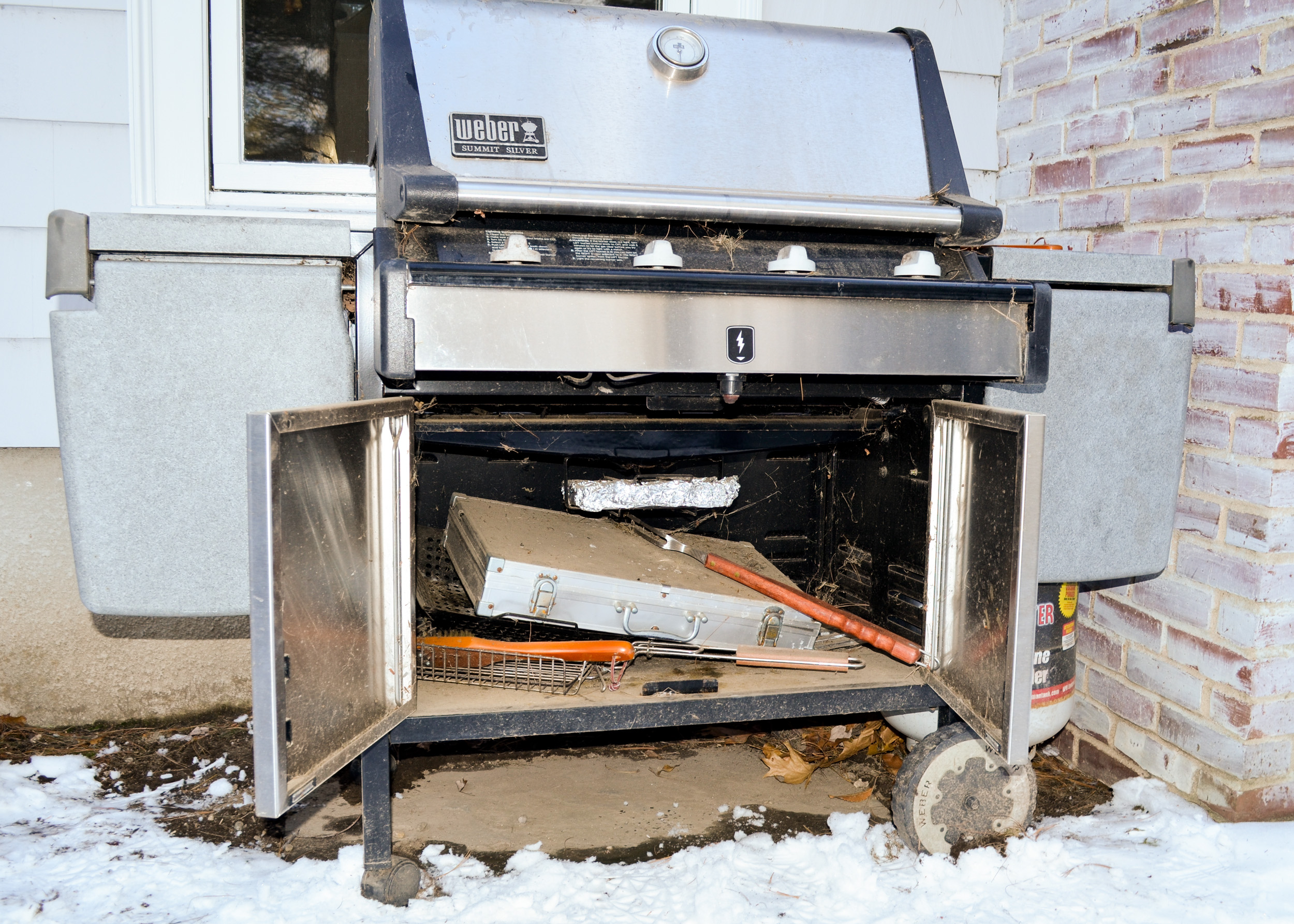 Weber Summit Silver Grill