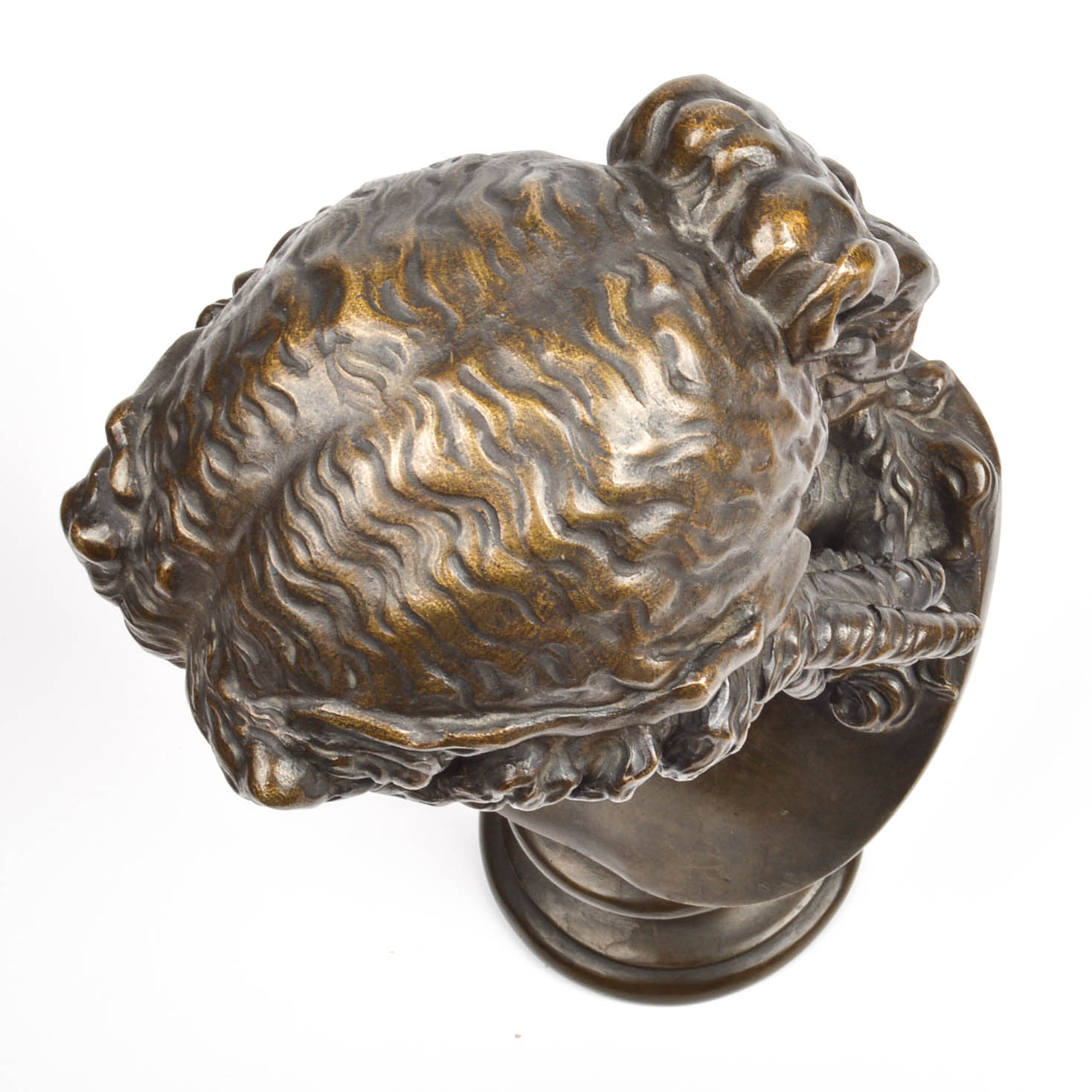 Bronze Finished Female Bust