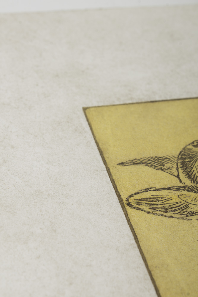 Pearce Bates Signed Limited Edition Wood Block Print of Two German Shepherds