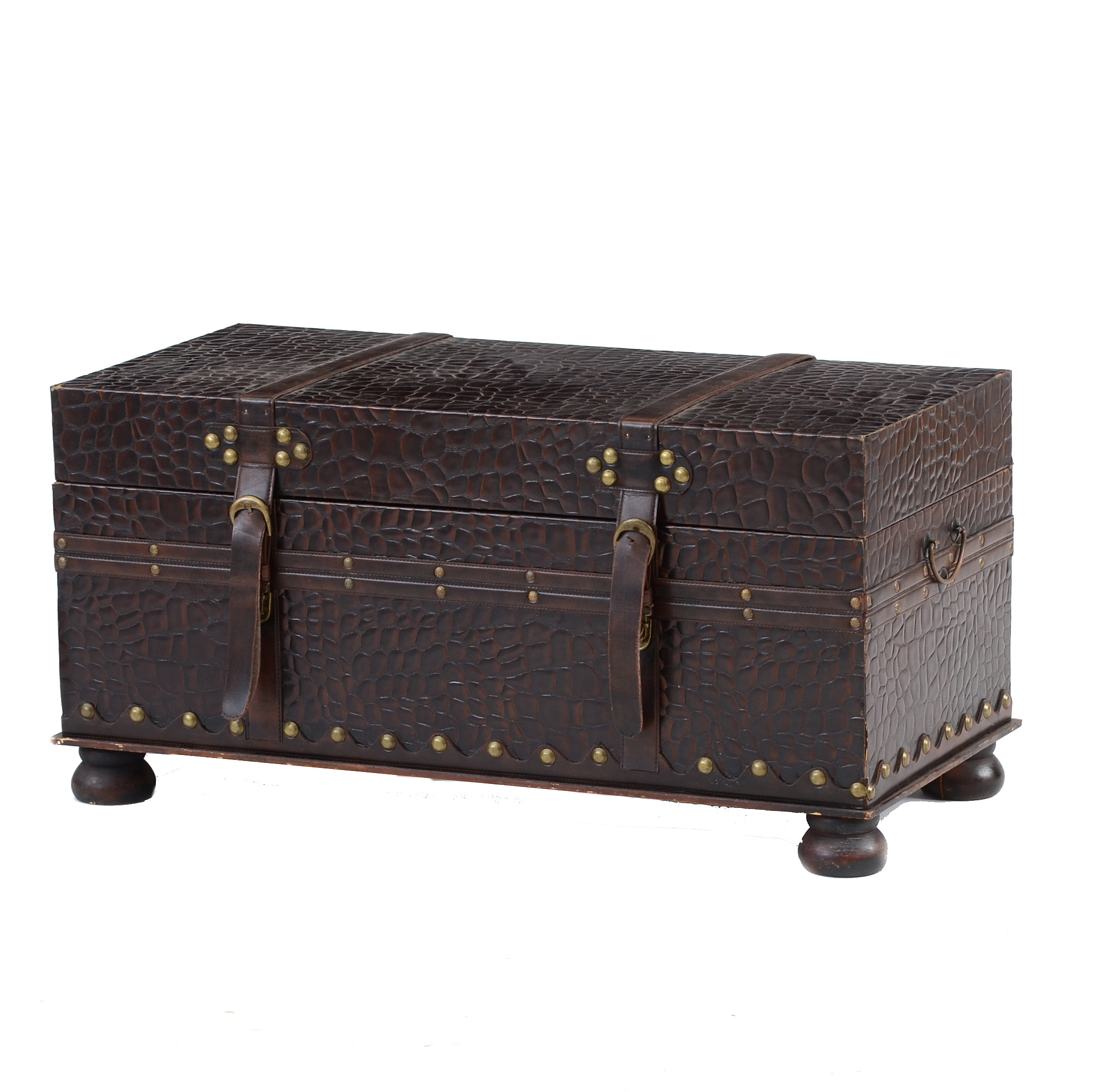 Hard-sided Storage Trunk