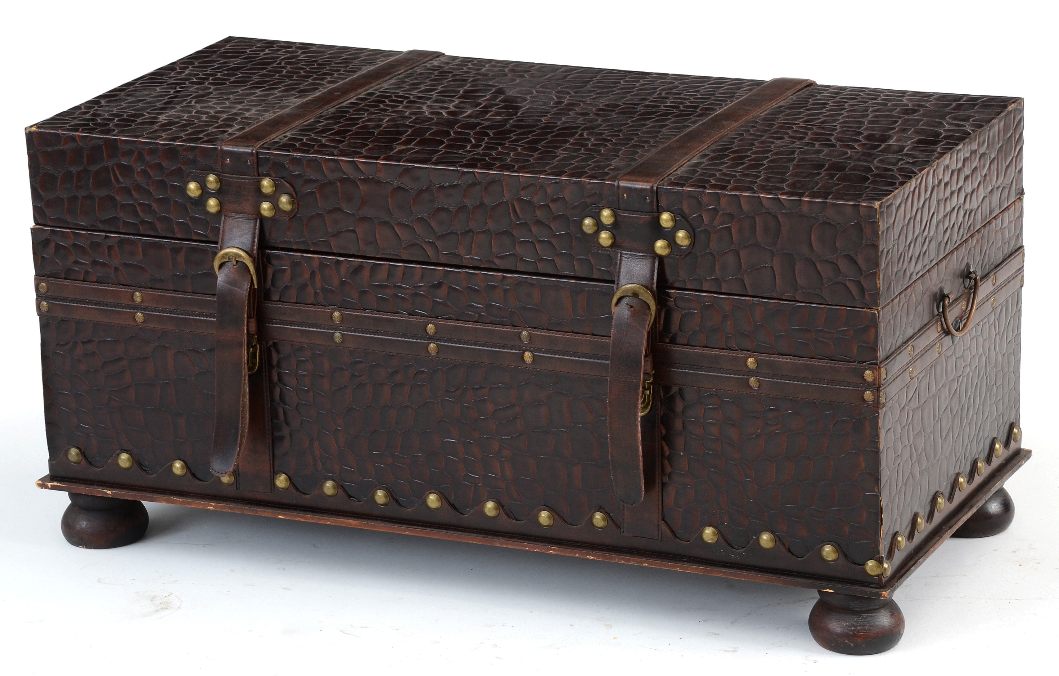 Hard-sided Storage Trunk