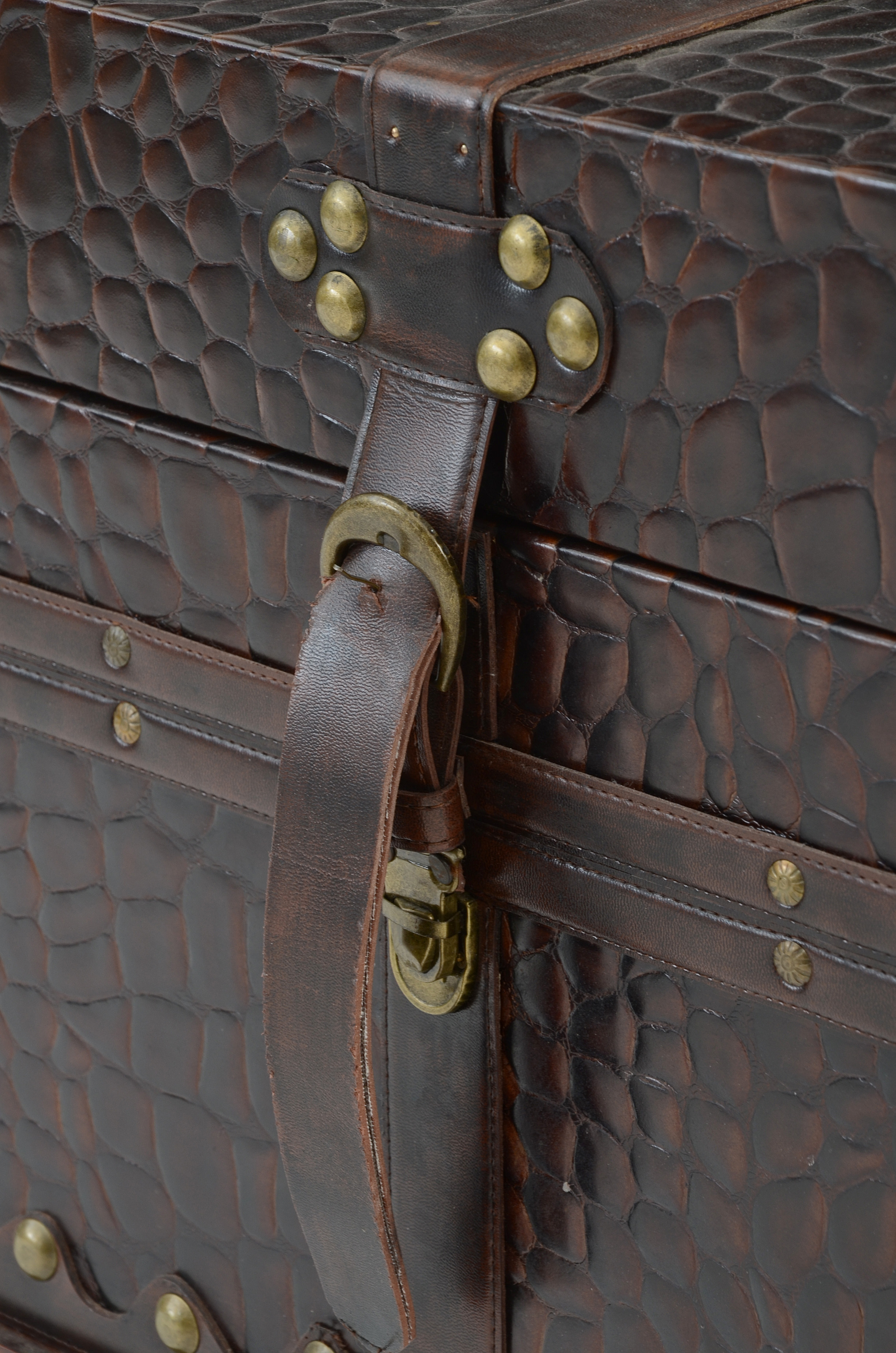 Hard-sided Storage Trunk