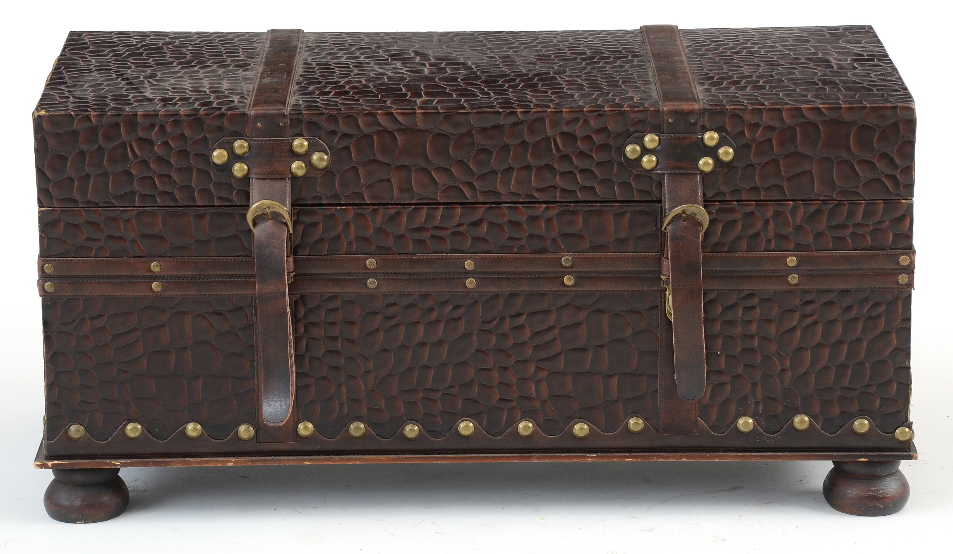 Hard-sided Storage Trunk