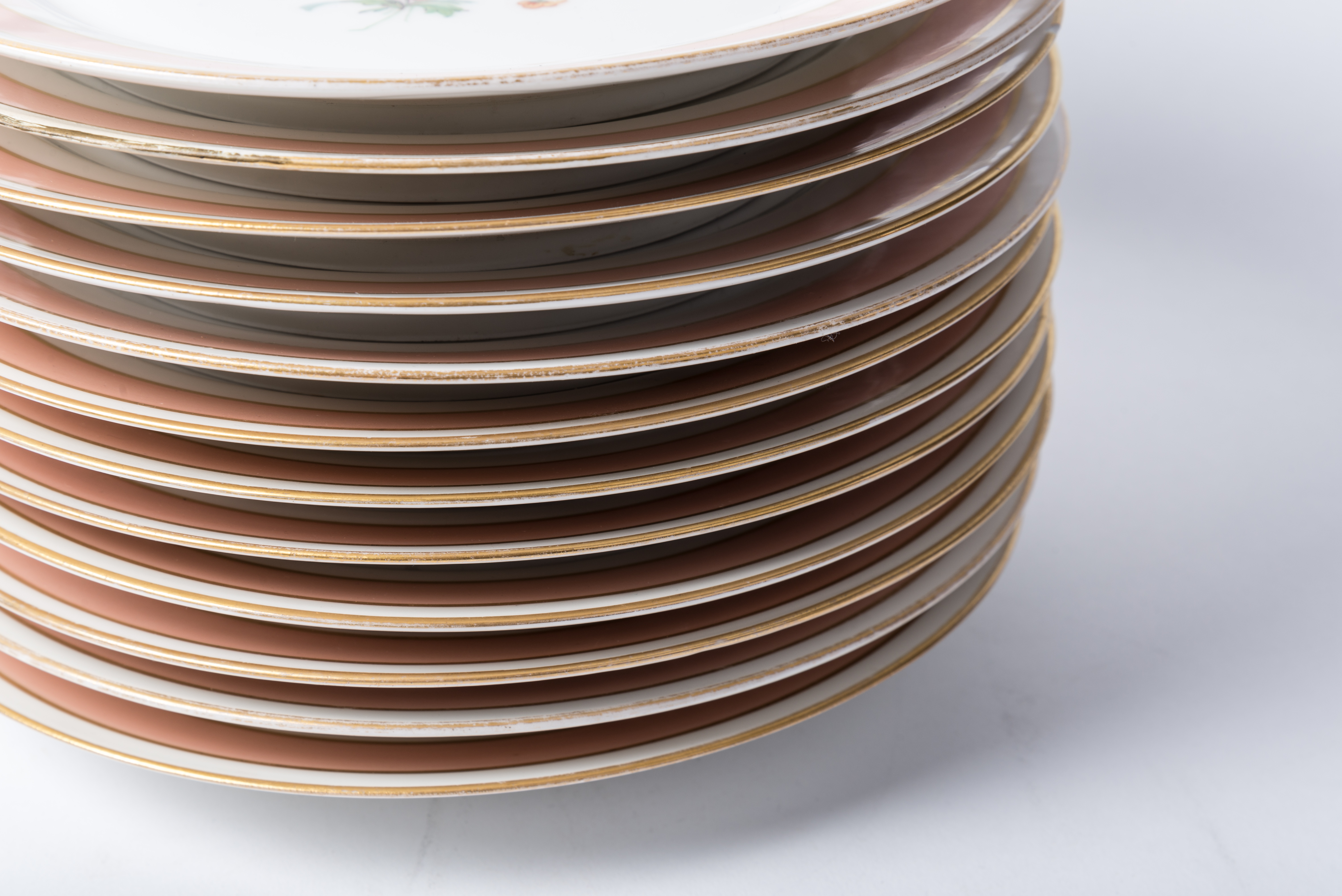 Floral China Dinner Plates