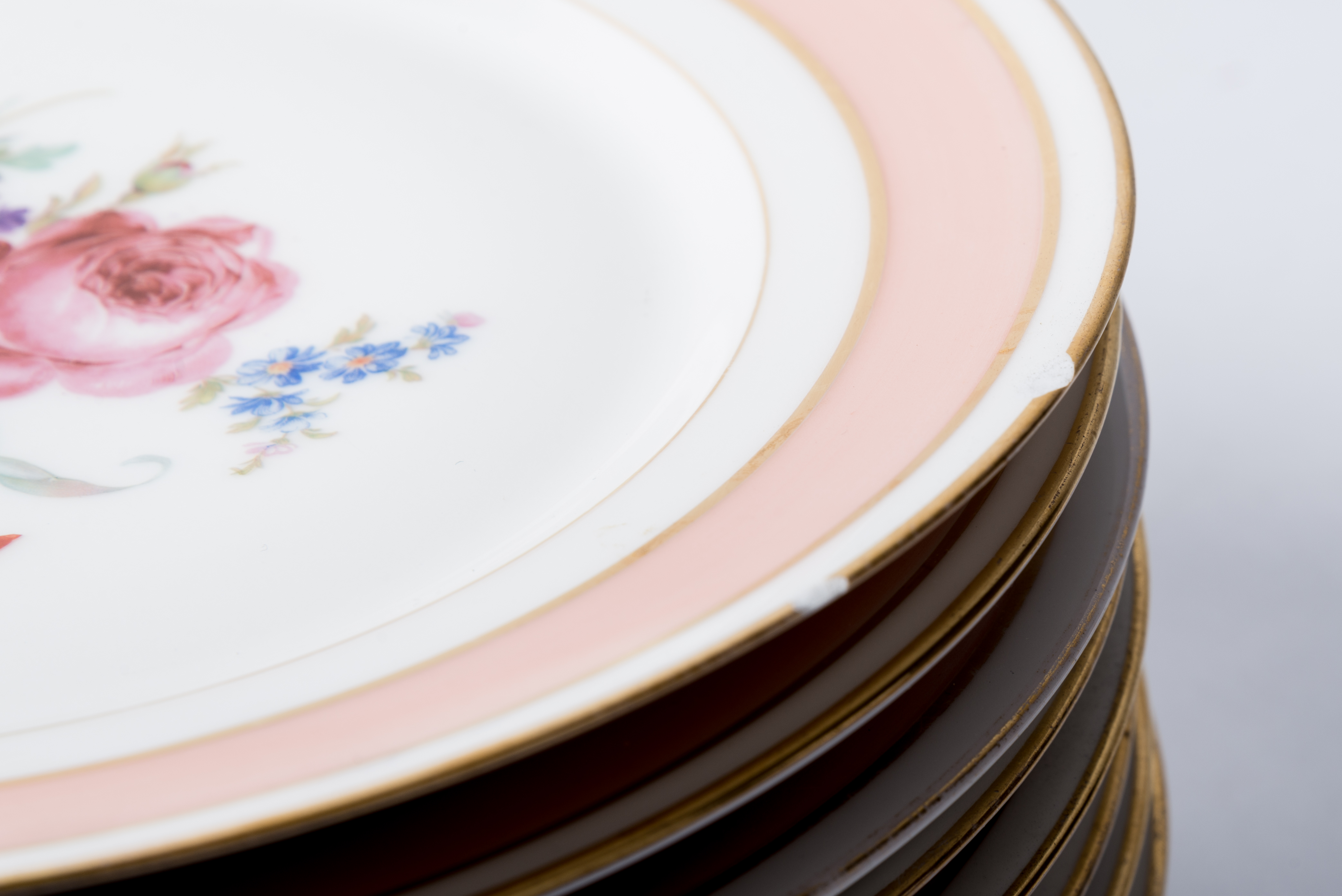 Floral China Dinner Plates