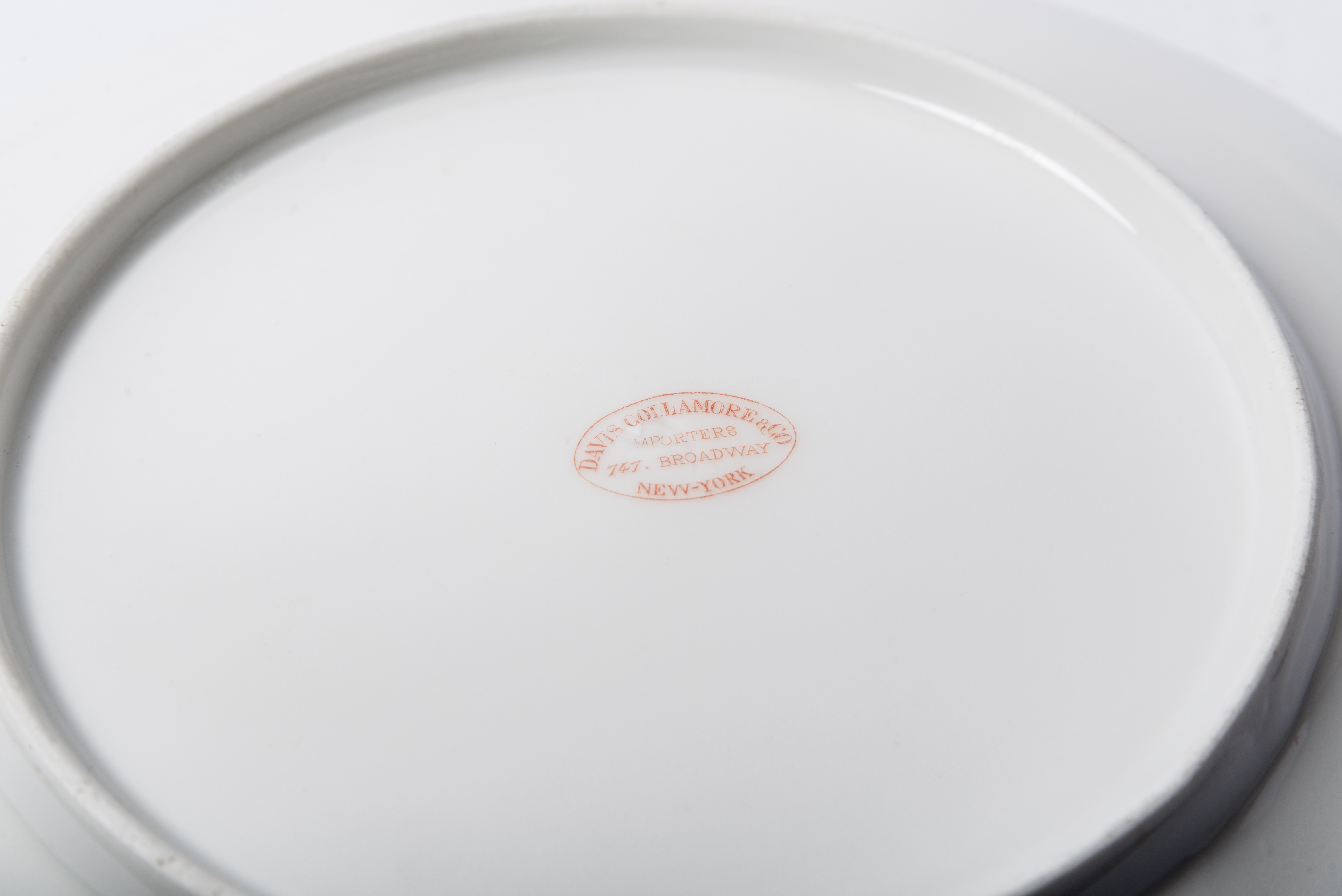 Floral China Dinner Plates