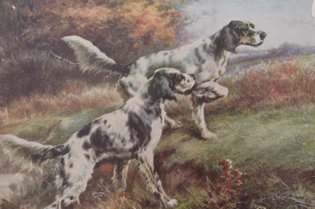 Collection of Hunting Dog-Themed Original Vintage Art Calendars