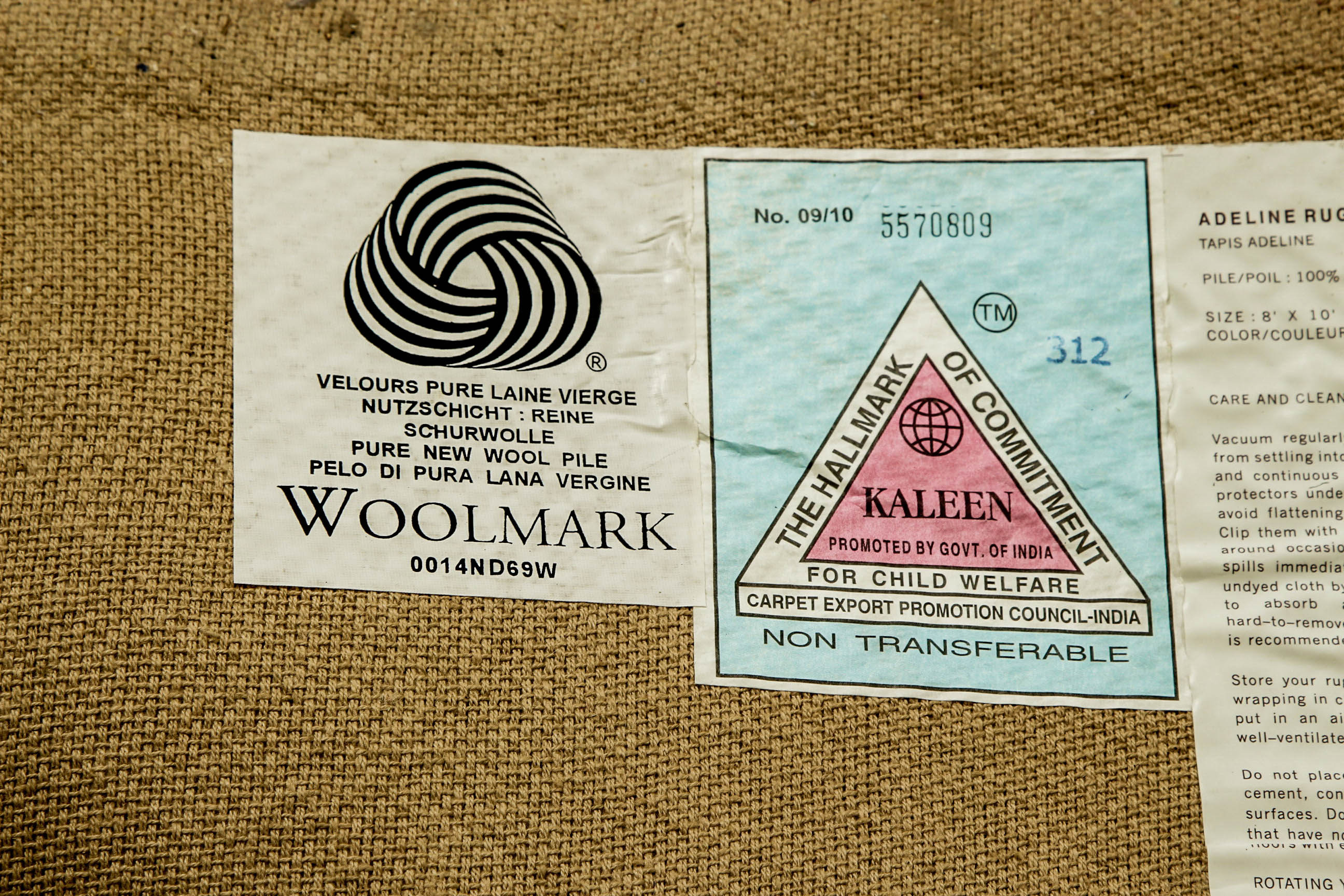 Tufted Pottery Barn "Tapis Adeline" Wool Area Rug