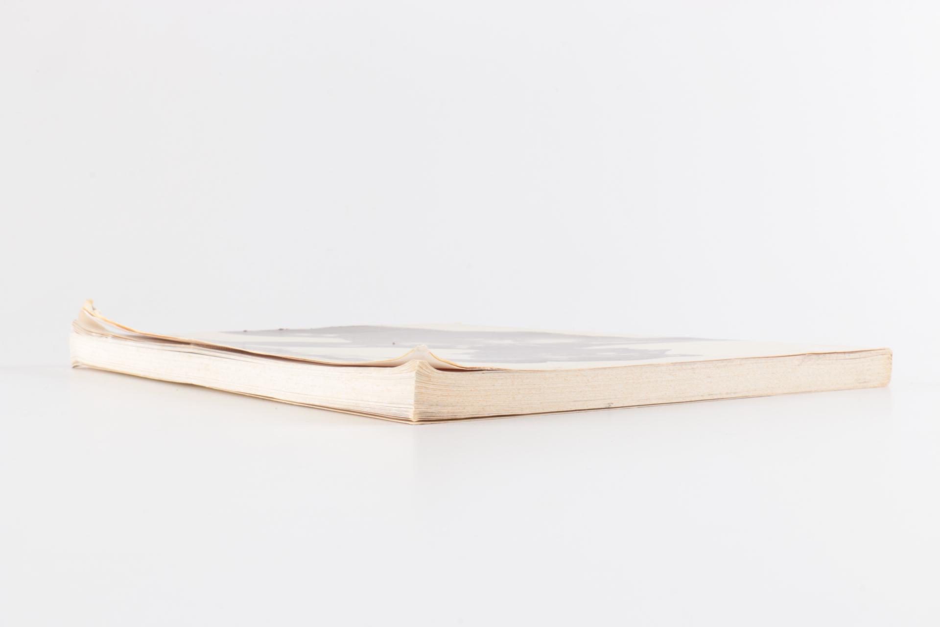 Collection of Art History Books