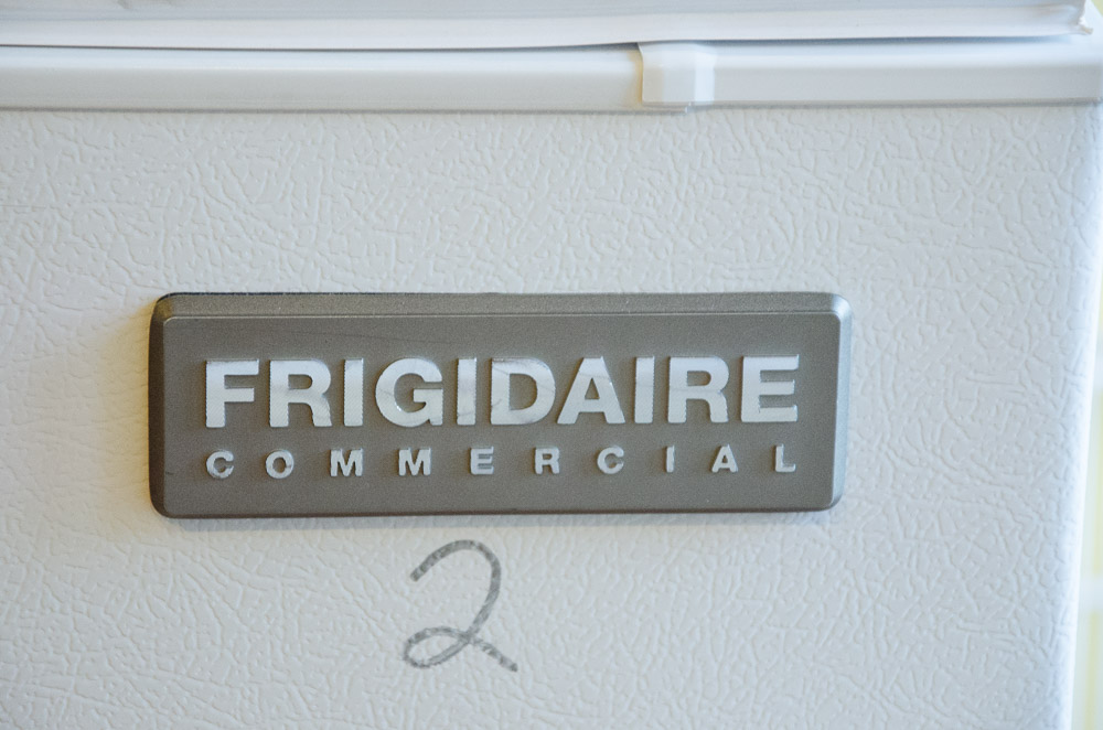 Frigidaire Commercial Freezer