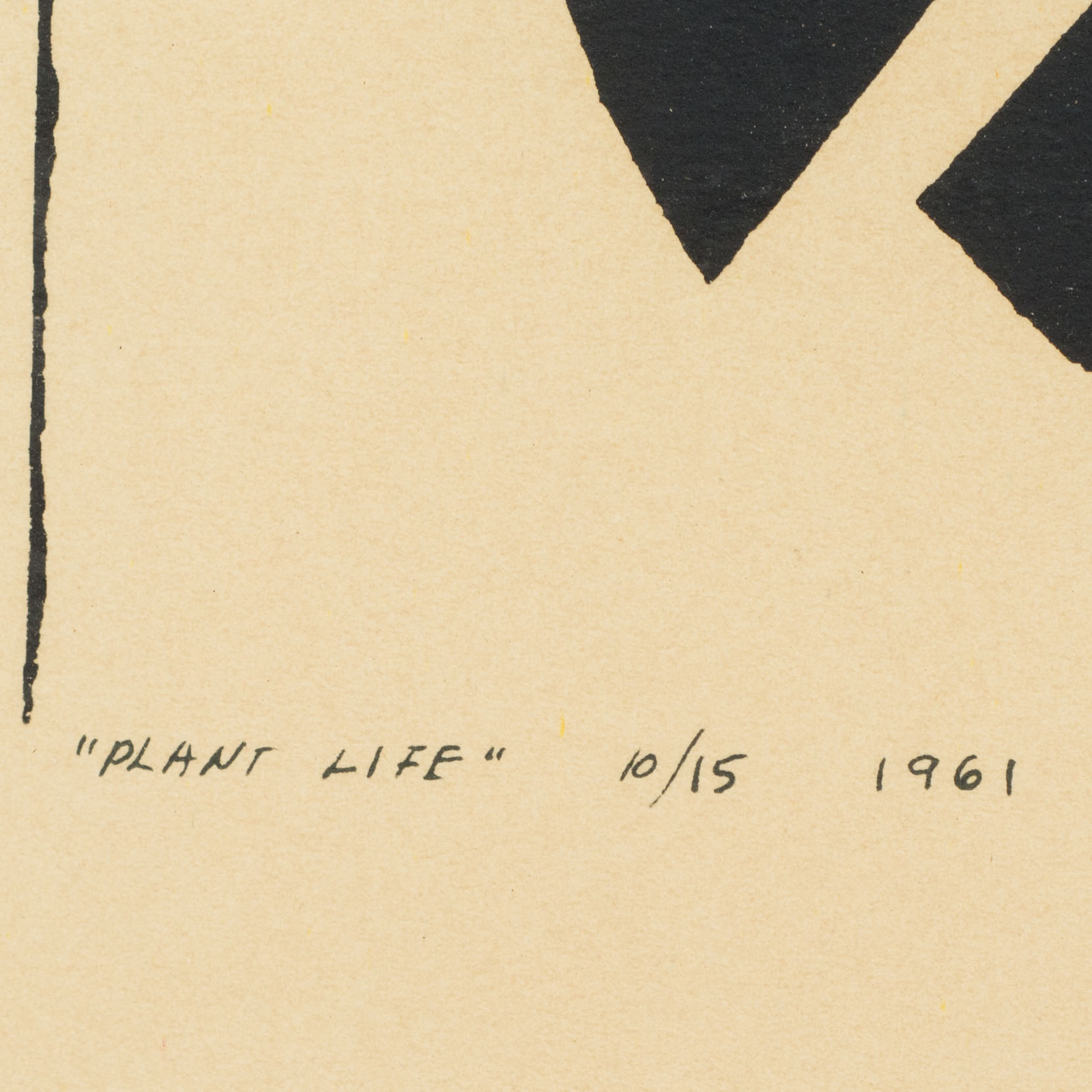 After Jim Forsberg Silkscreen Reproduction of "Plant Life"