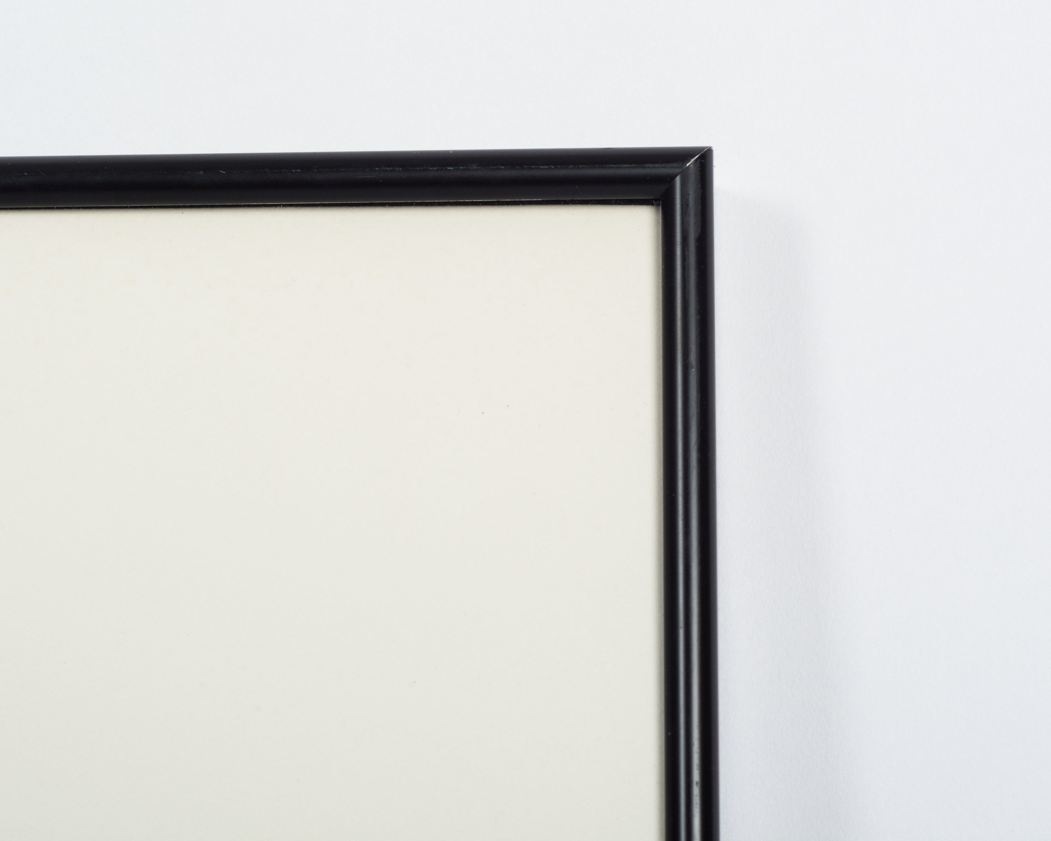 After Jim Forsberg Silkscreen Reproduction of "Plant Life"