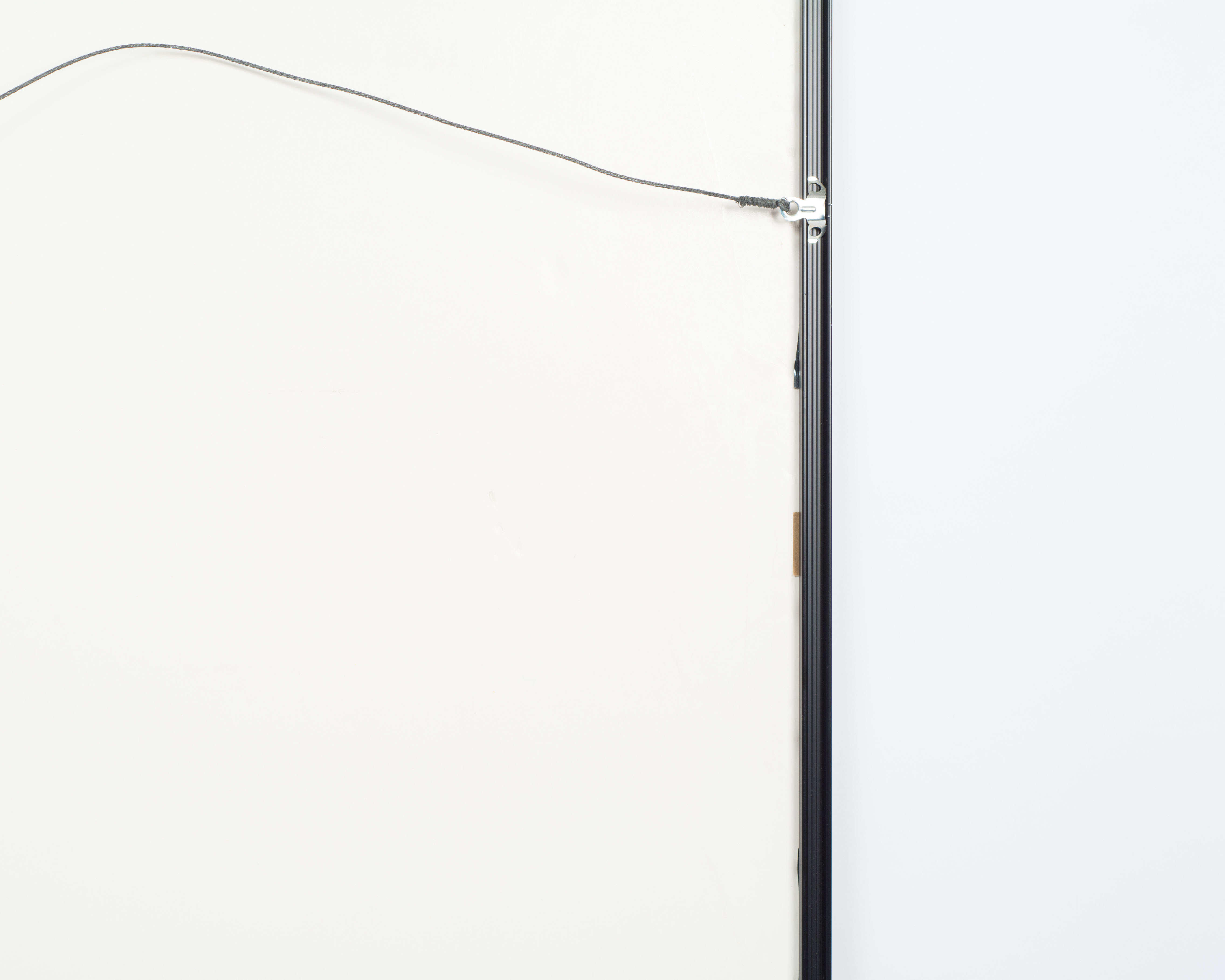 After Jim Forsberg Silkscreen Reproduction of "Plant Life"