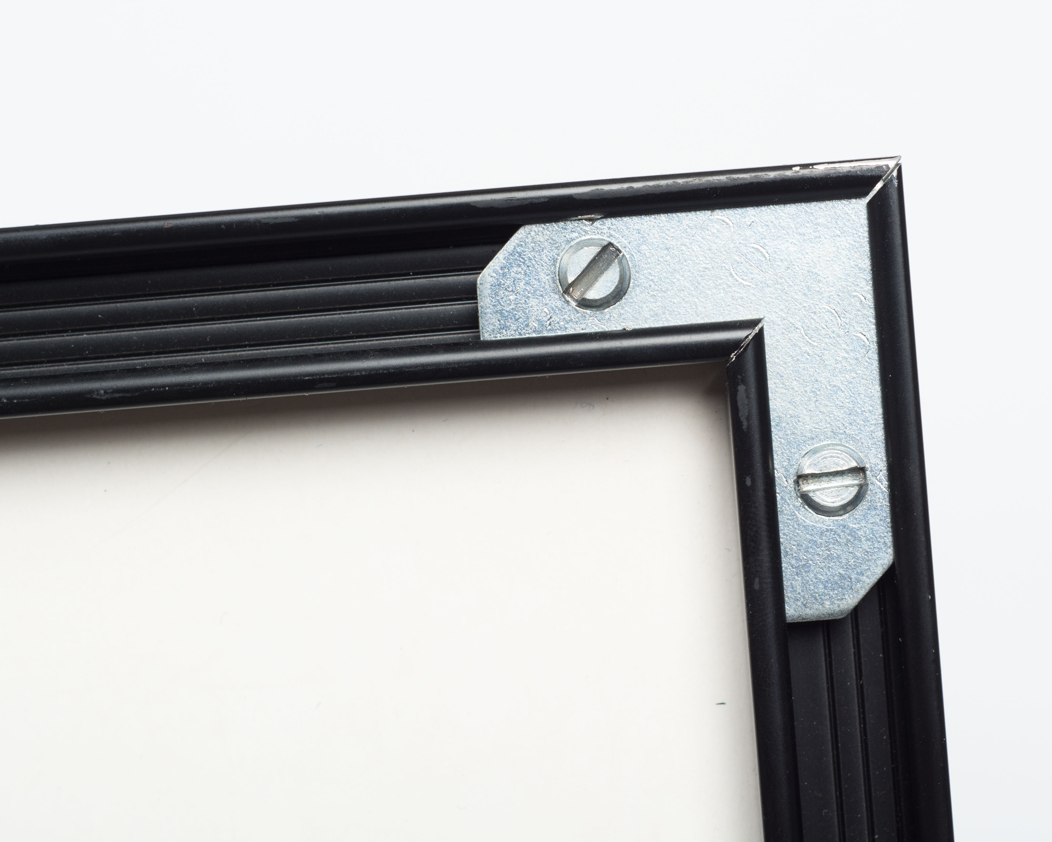 After Jim Forsberg Silkscreen Reproduction of "Plant Life"