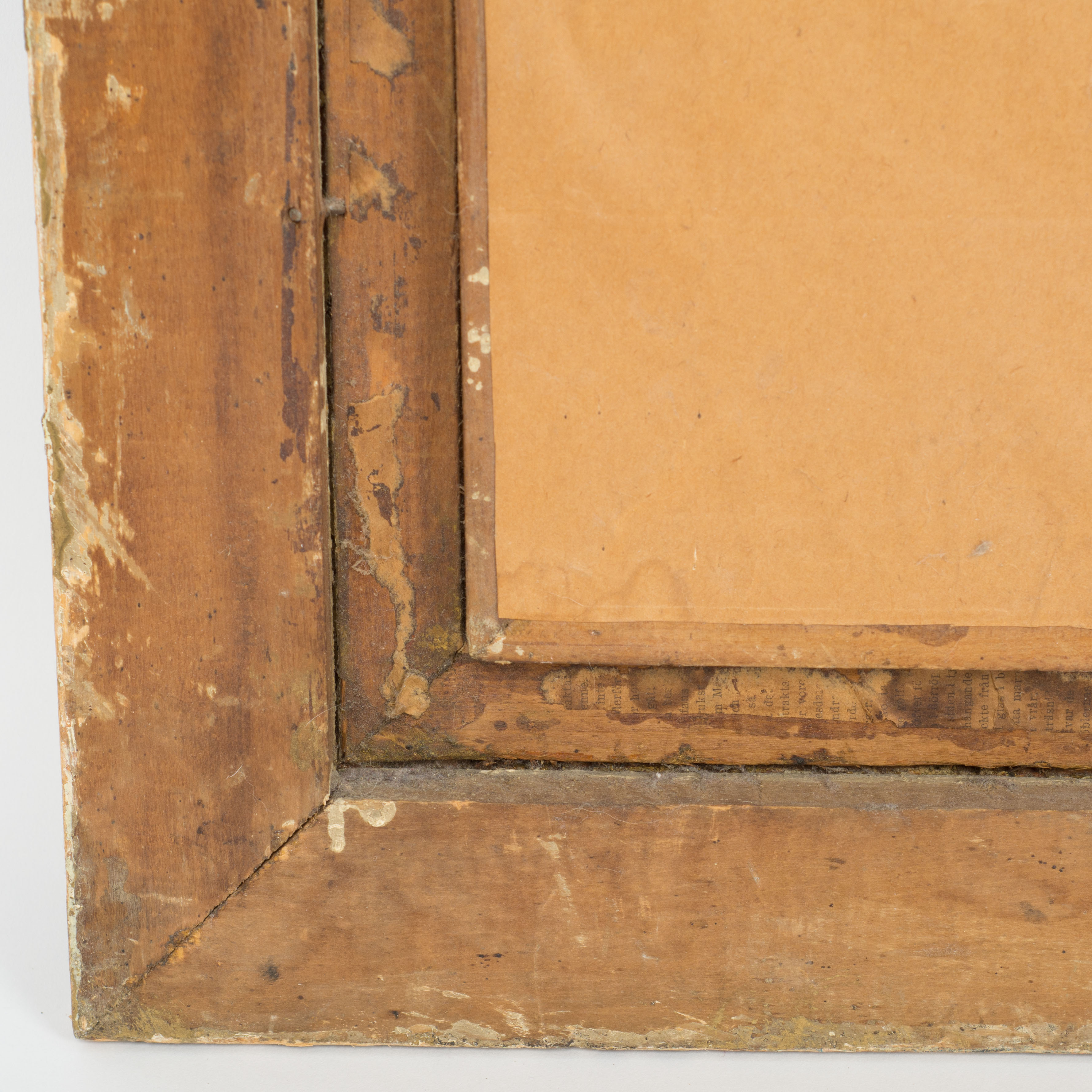 Hand-colored Photograph Portrait of a Lady