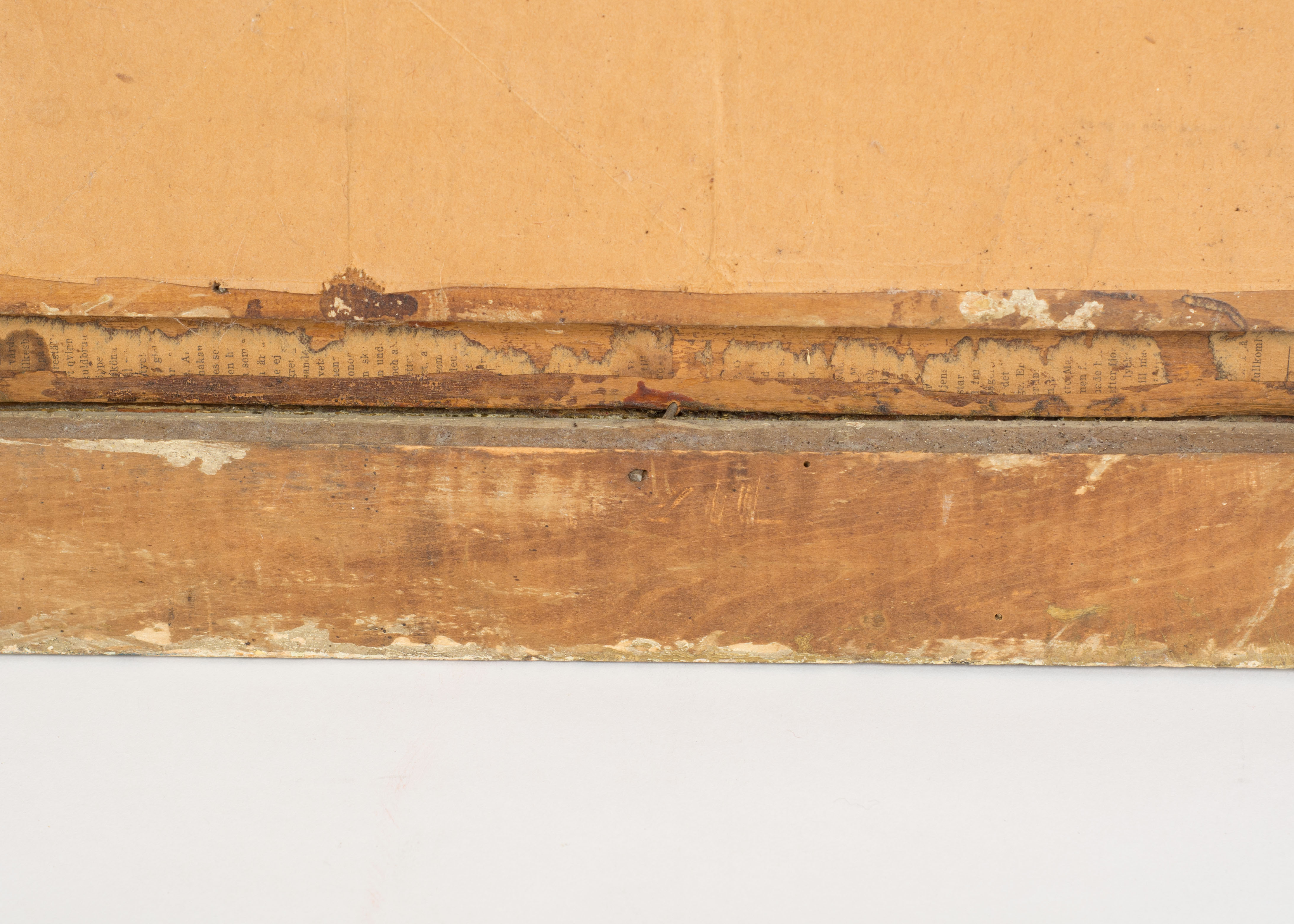 Hand-colored Photograph Portrait of a Lady