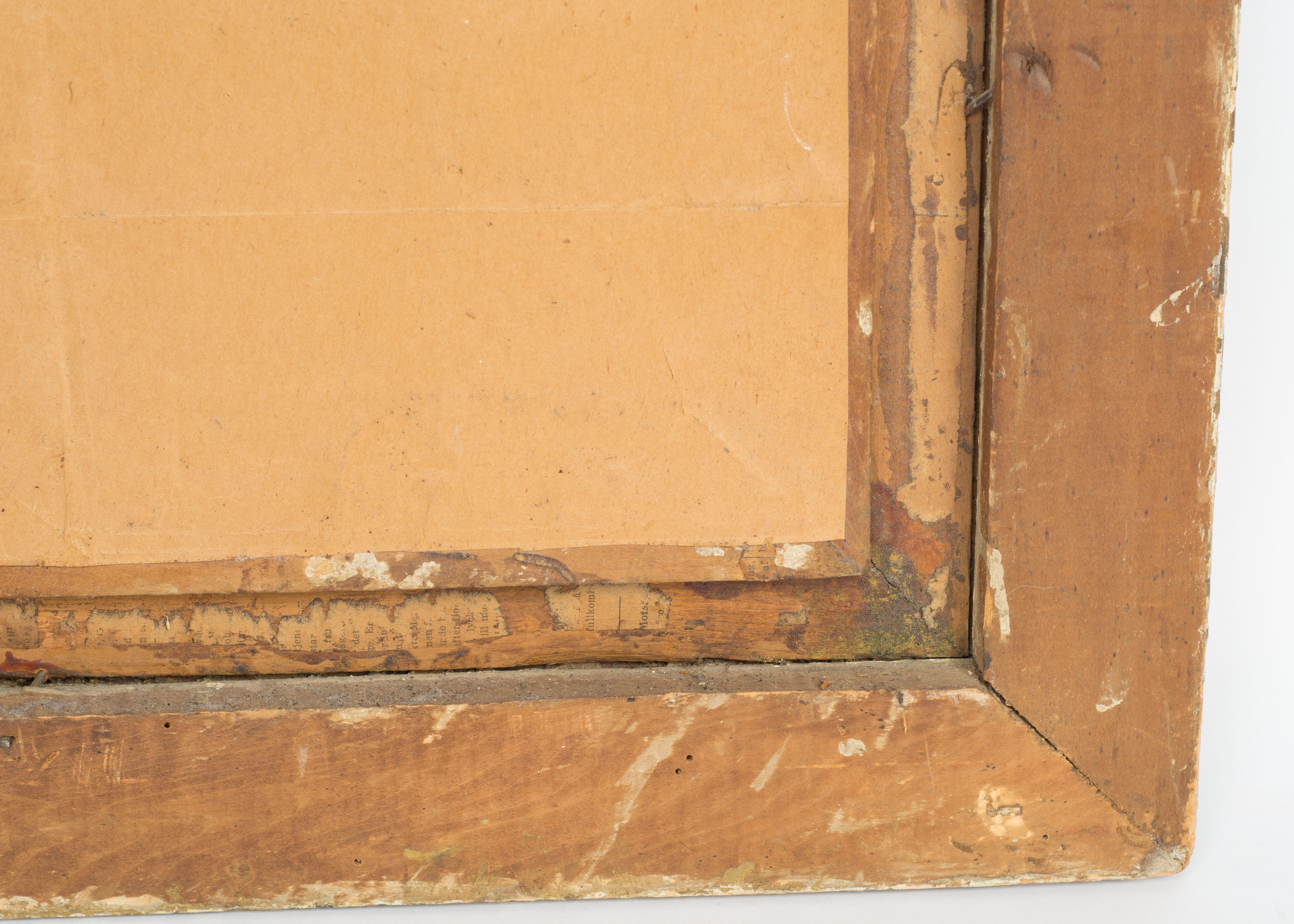 Hand-colored Photograph Portrait of a Lady