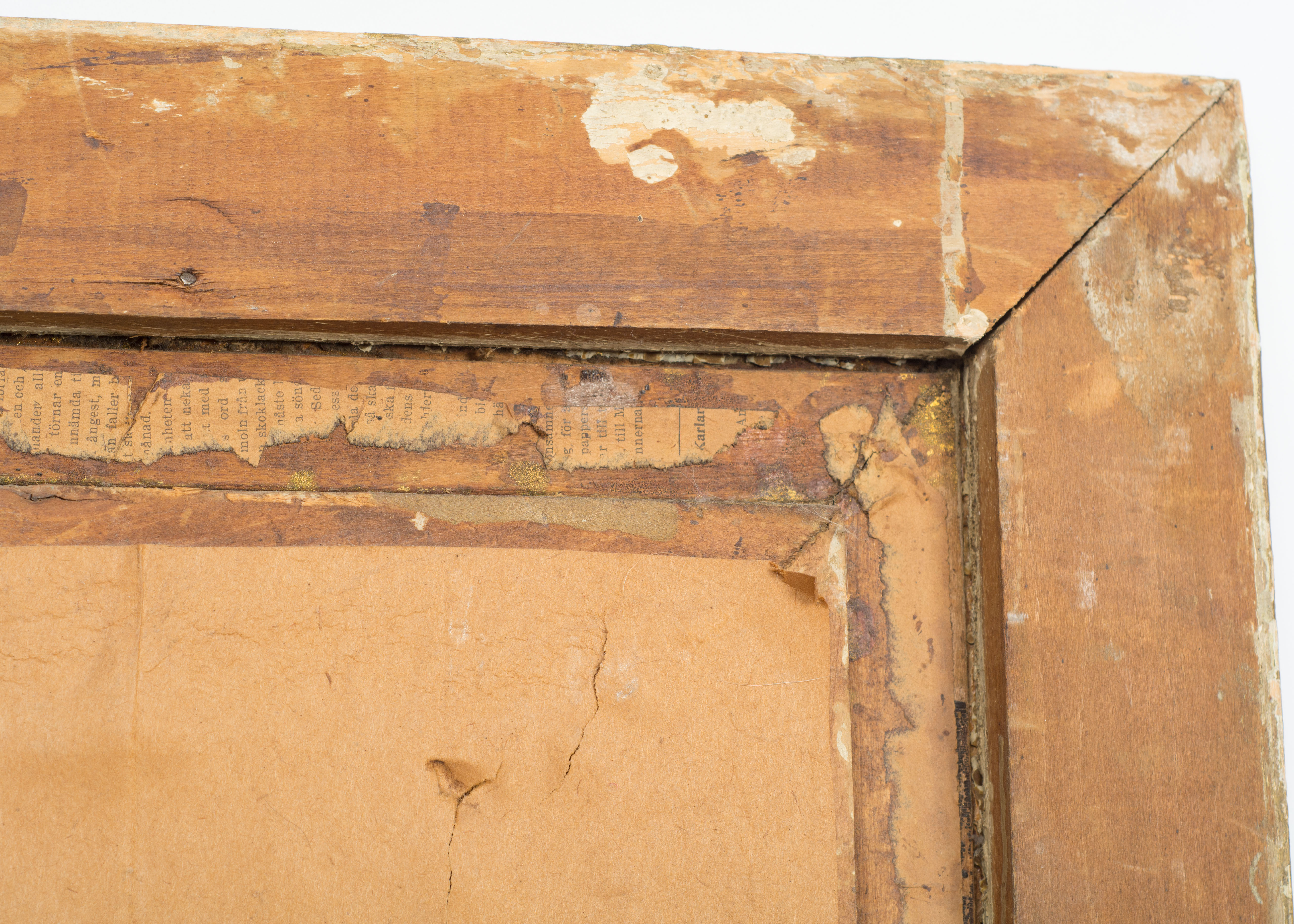 Hand-colored Photograph Portrait of a Lady