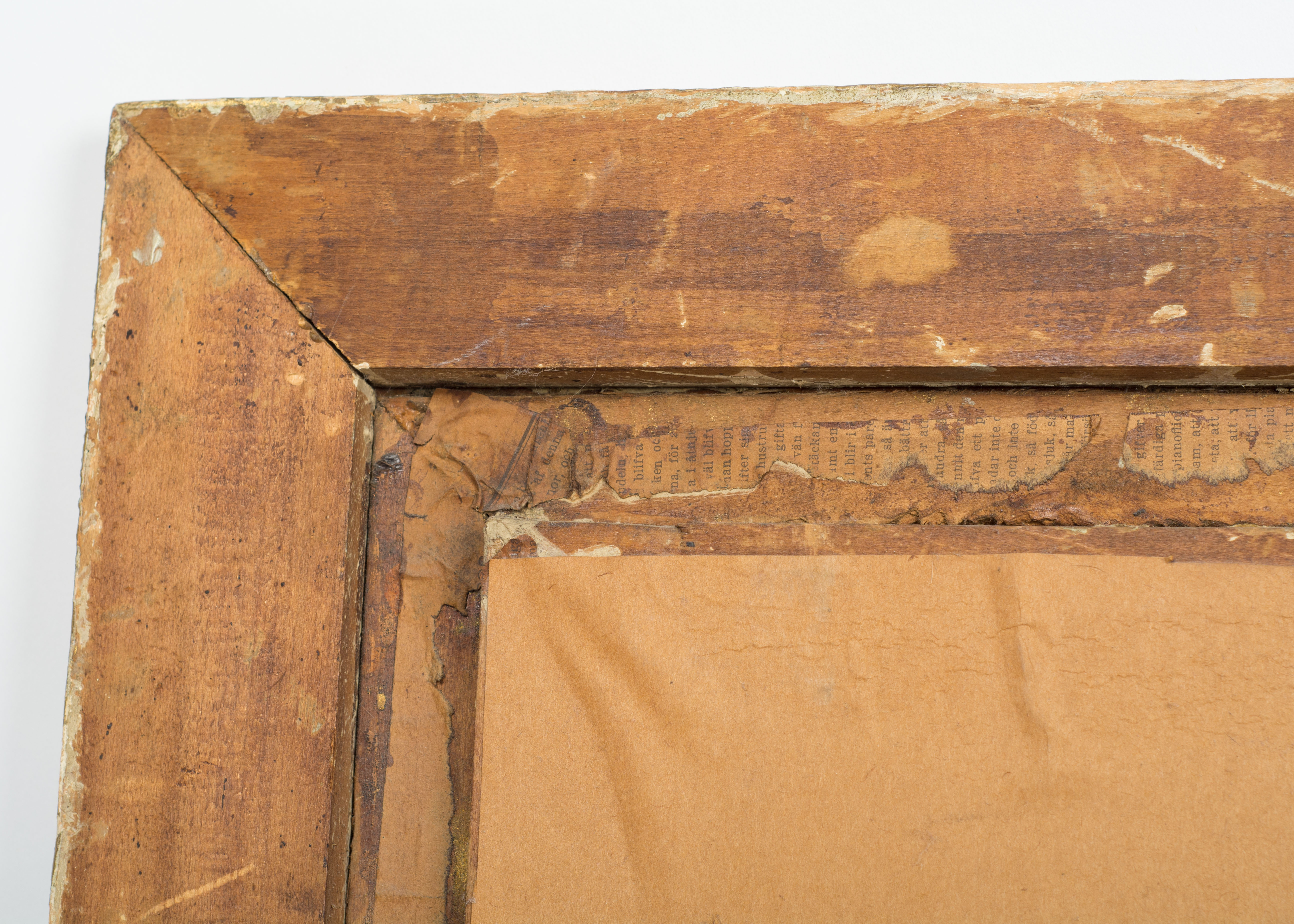 Hand-colored Photograph Portrait of a Lady