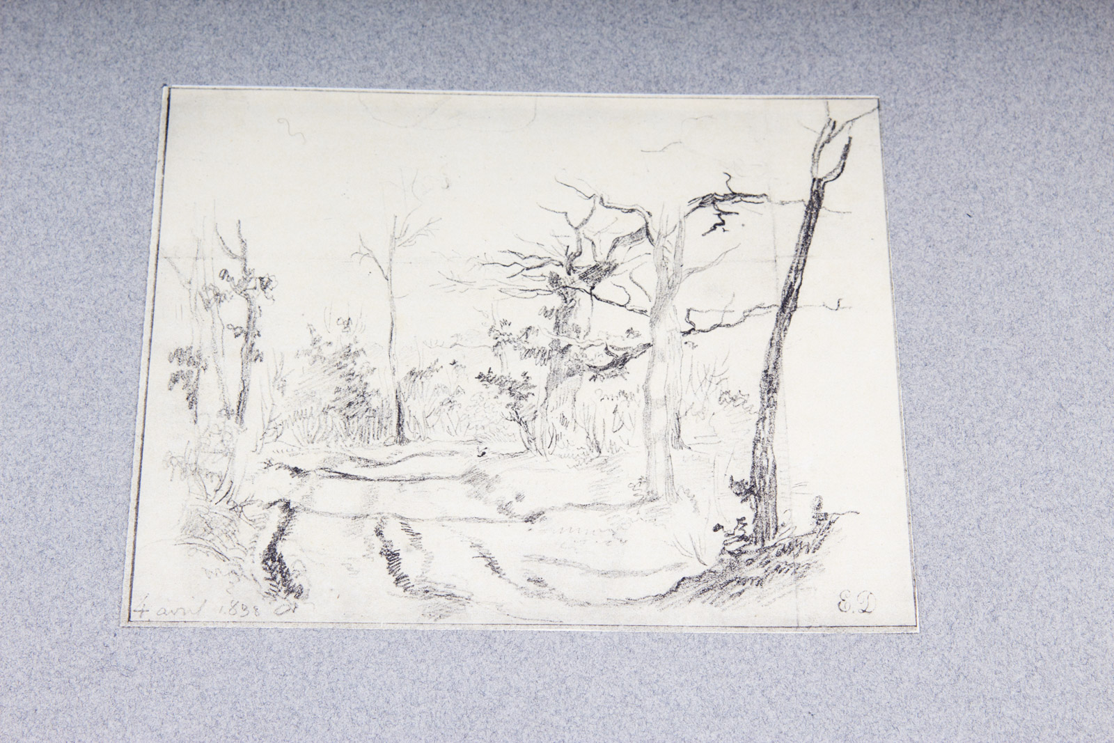 After Eugene Delacroix Vintage Engraving Collection