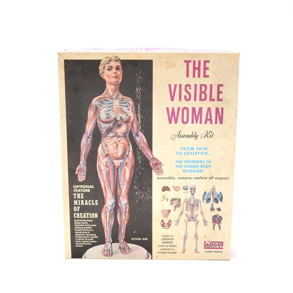 Vintage "The Visible Woman" Anatomy Kit by Renewal