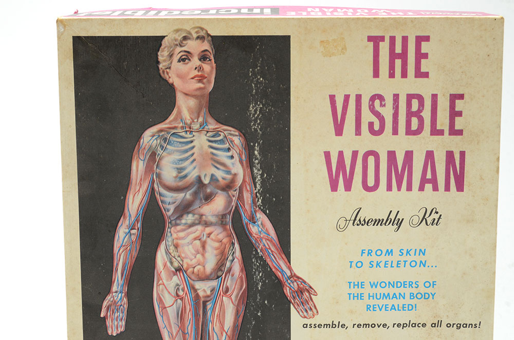 Vintage "The Visible Woman" Anatomy Kit by Renewal