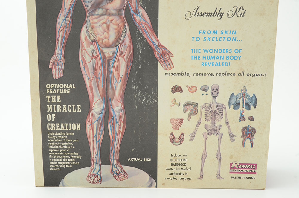 Vintage "The Visible Woman" Anatomy Kit by Renewal