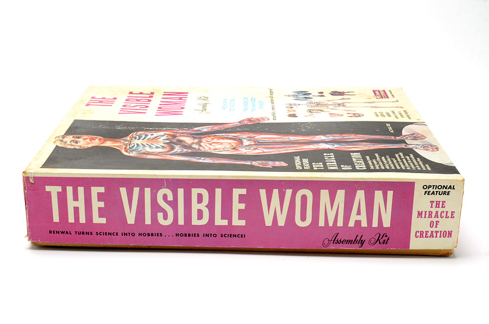 Vintage "The Visible Woman" Anatomy Kit by Renewal