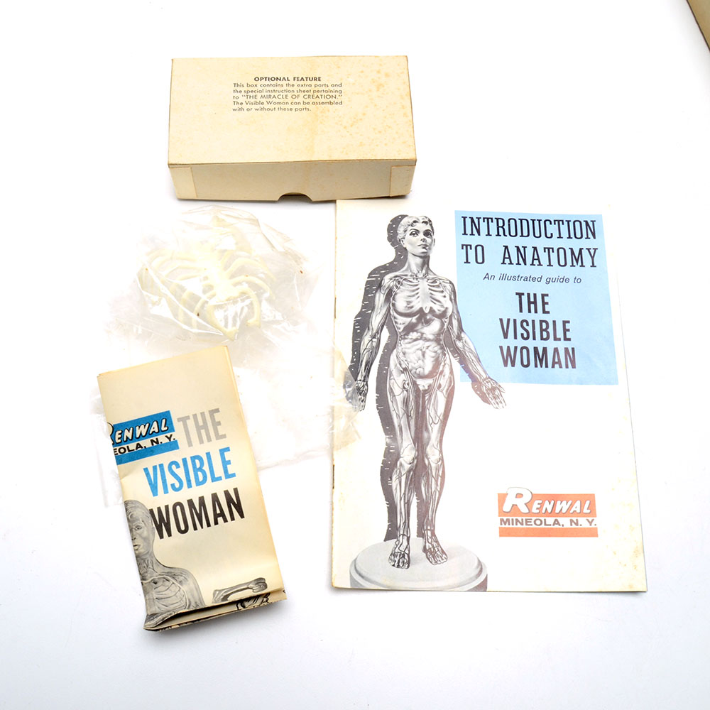 Vintage "The Visible Woman" Anatomy Kit by Renewal