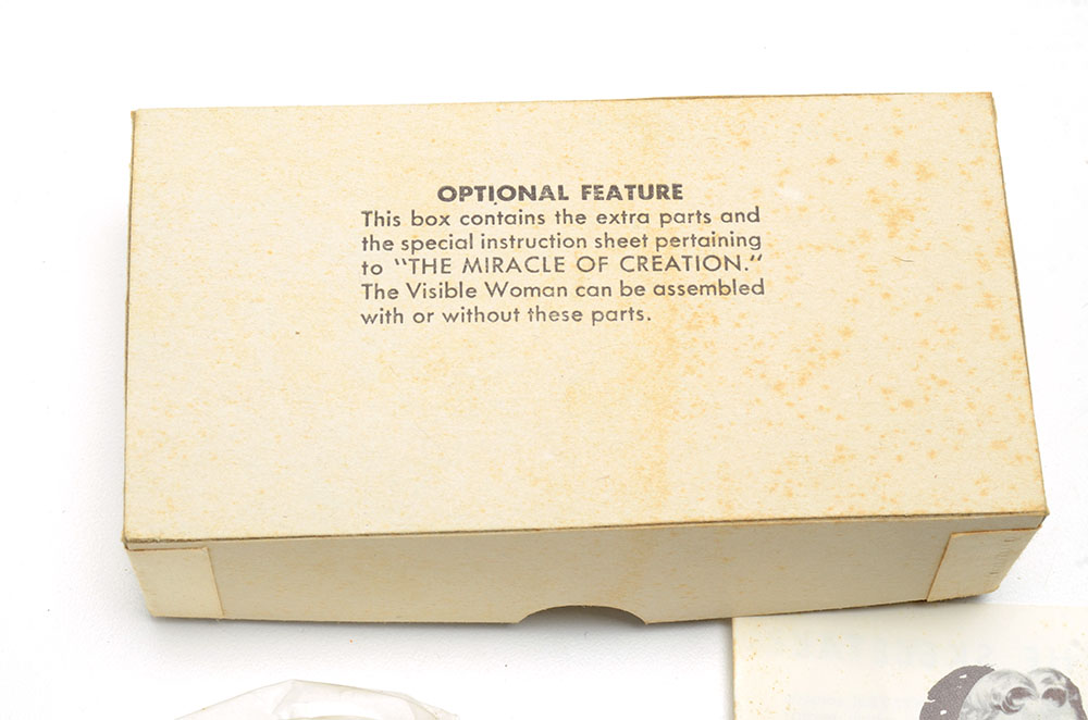 Vintage "The Visible Woman" Anatomy Kit by Renewal