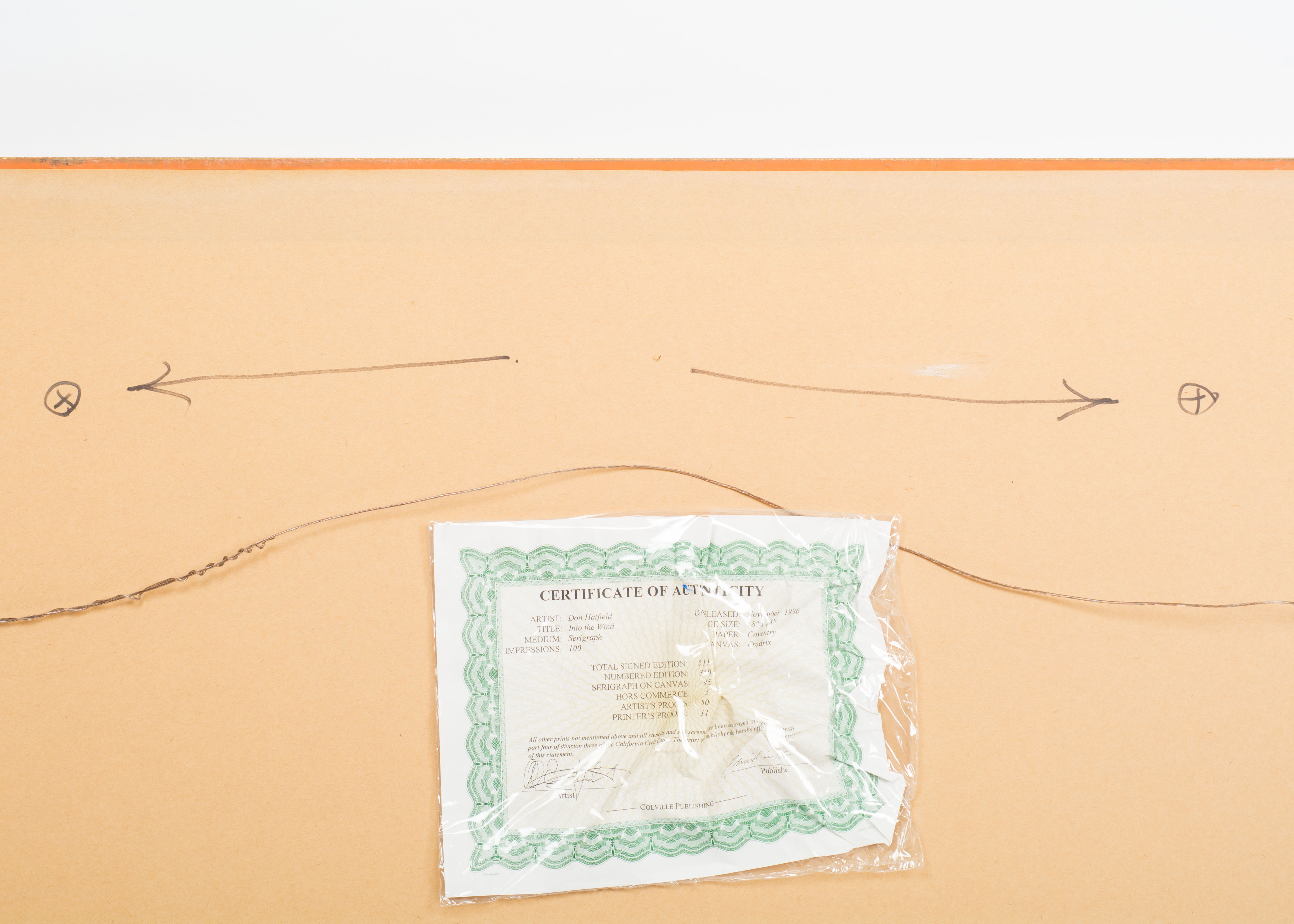 Don Hatfield Limited Edition Serigraph "Into the Wind"