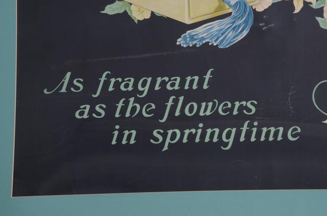 Original 1920s Advertisement Poster for Cara Nome Toilet Requisites