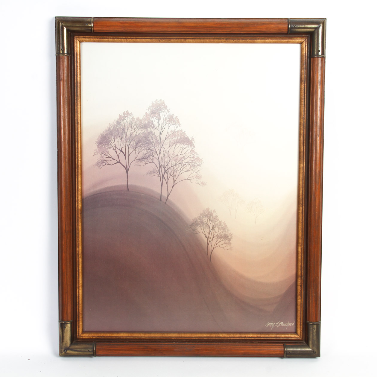 Cathy J. Bouchard Framed Print