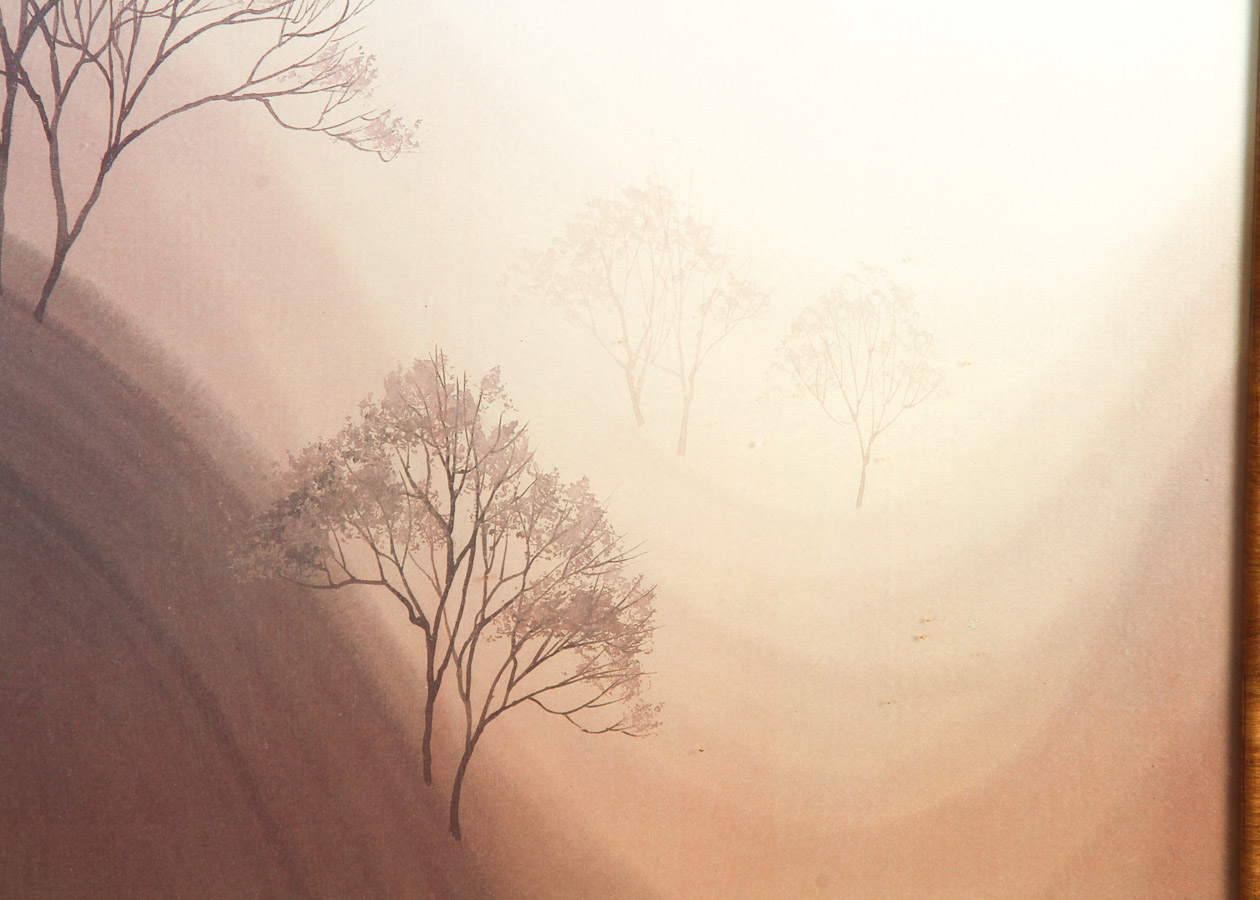 Cathy J. Bouchard Framed Print