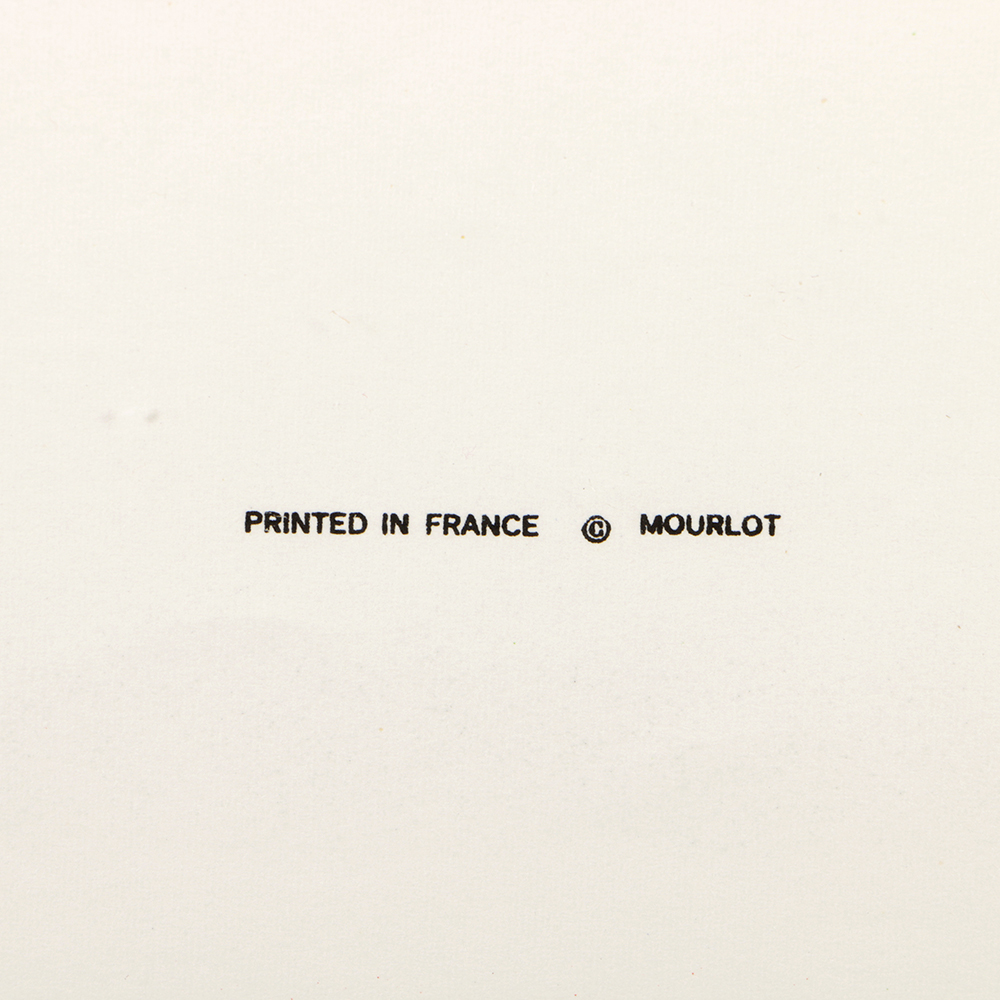 Framed Lithograph Poster "Sonia Delaunay"