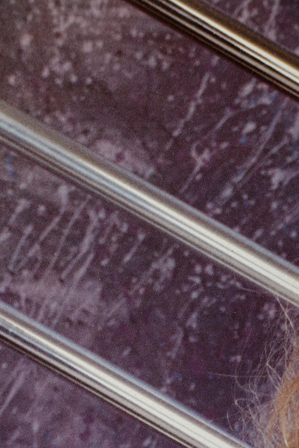 Offset Lithograph Motivational Poster "Weights & Lace II"