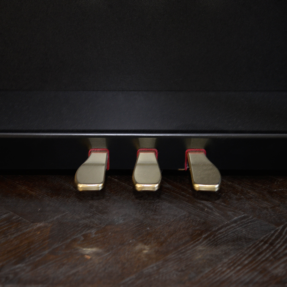 Casio Celviano AP-40 Digital Piano