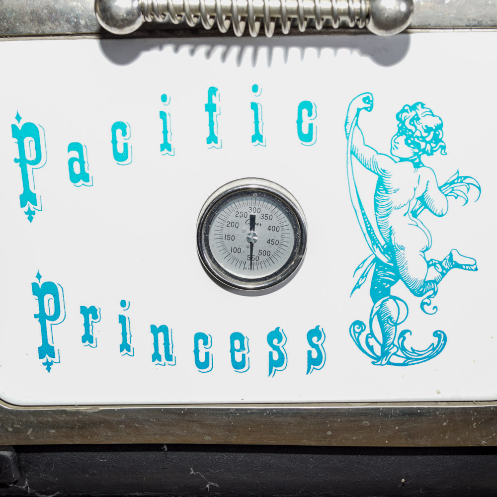 Vintage Pacific Princess Wood Burning Cook Stove