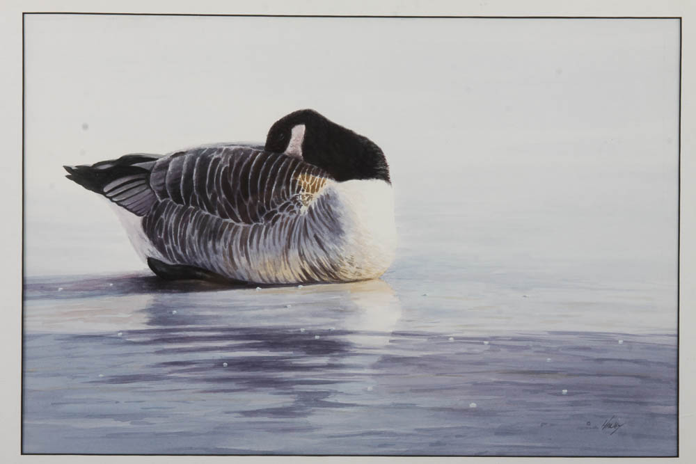 Original Watercolor Painting of Goose