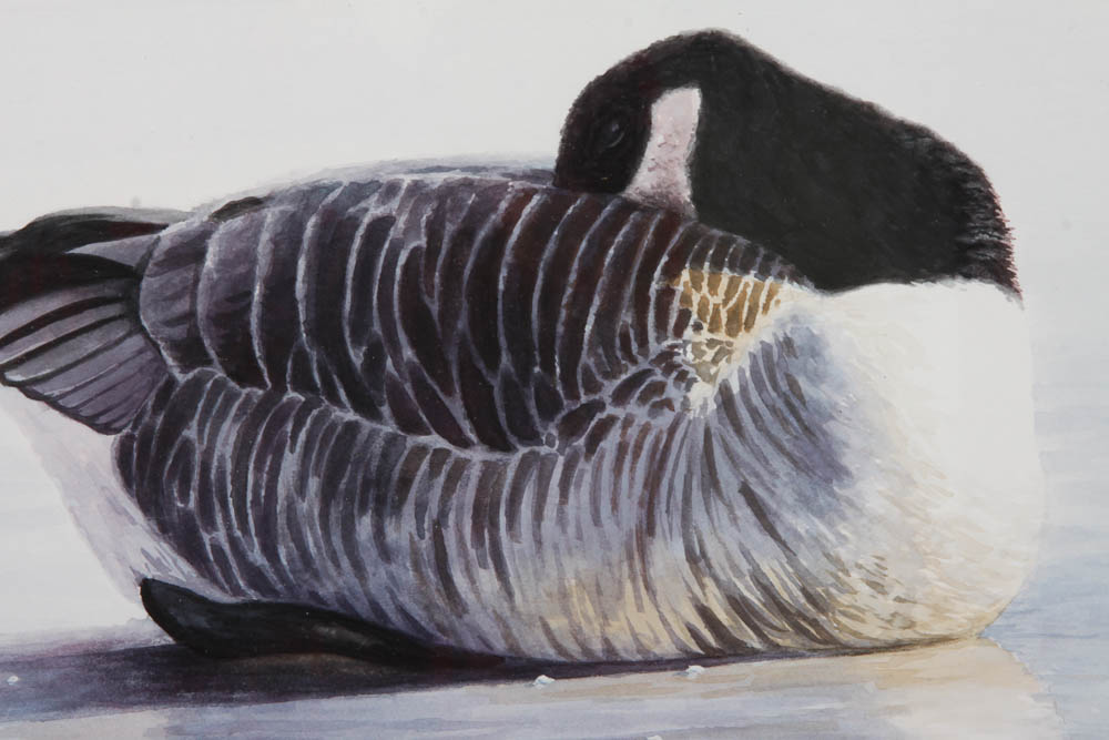 Original Watercolor Painting of Goose