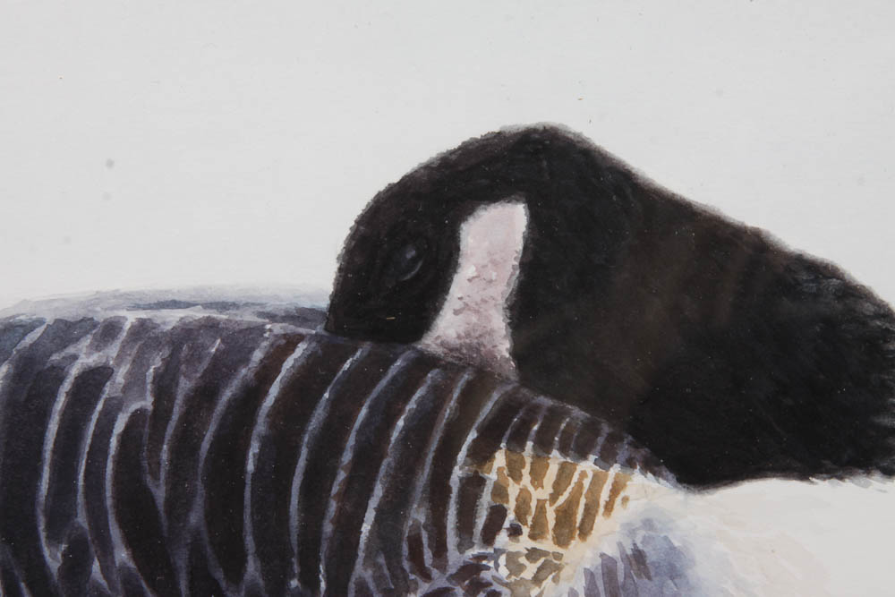 Original Watercolor Painting of Goose