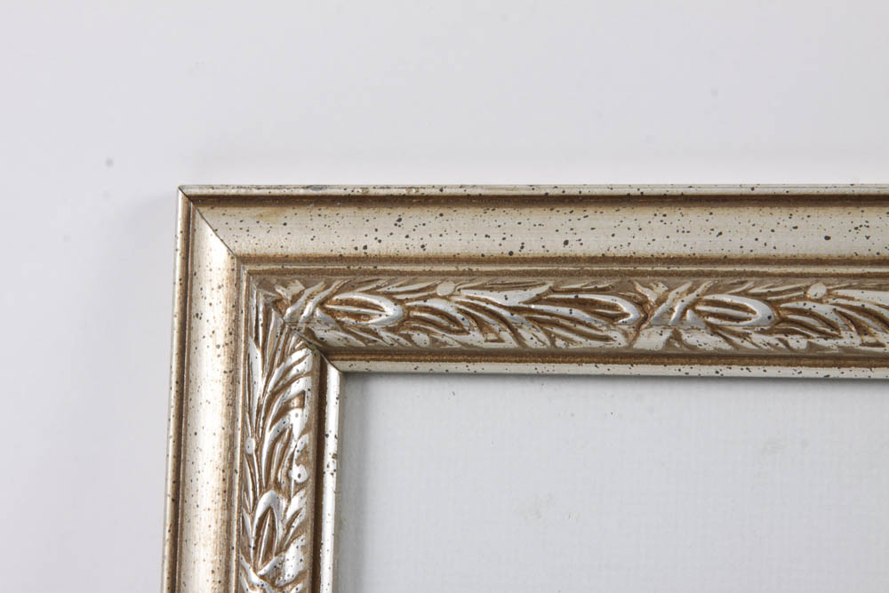 Original Watercolor Painting of Goose