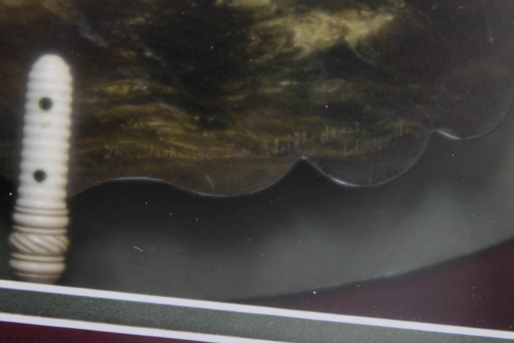 Original Painting in a shadow box.