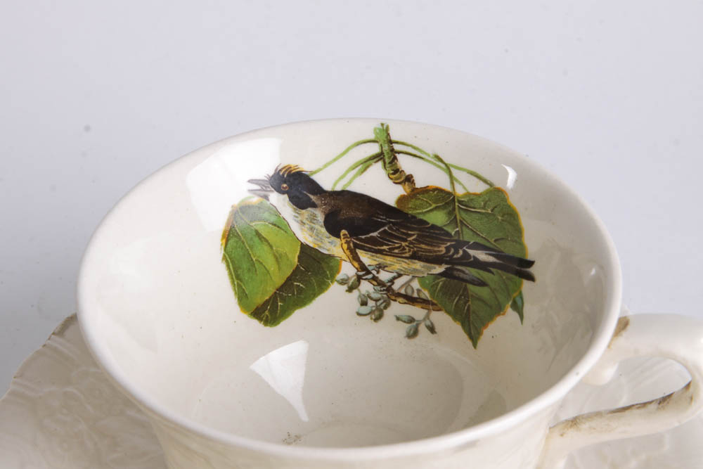 Collection of Alfred Meakin "Birds Of America" English China